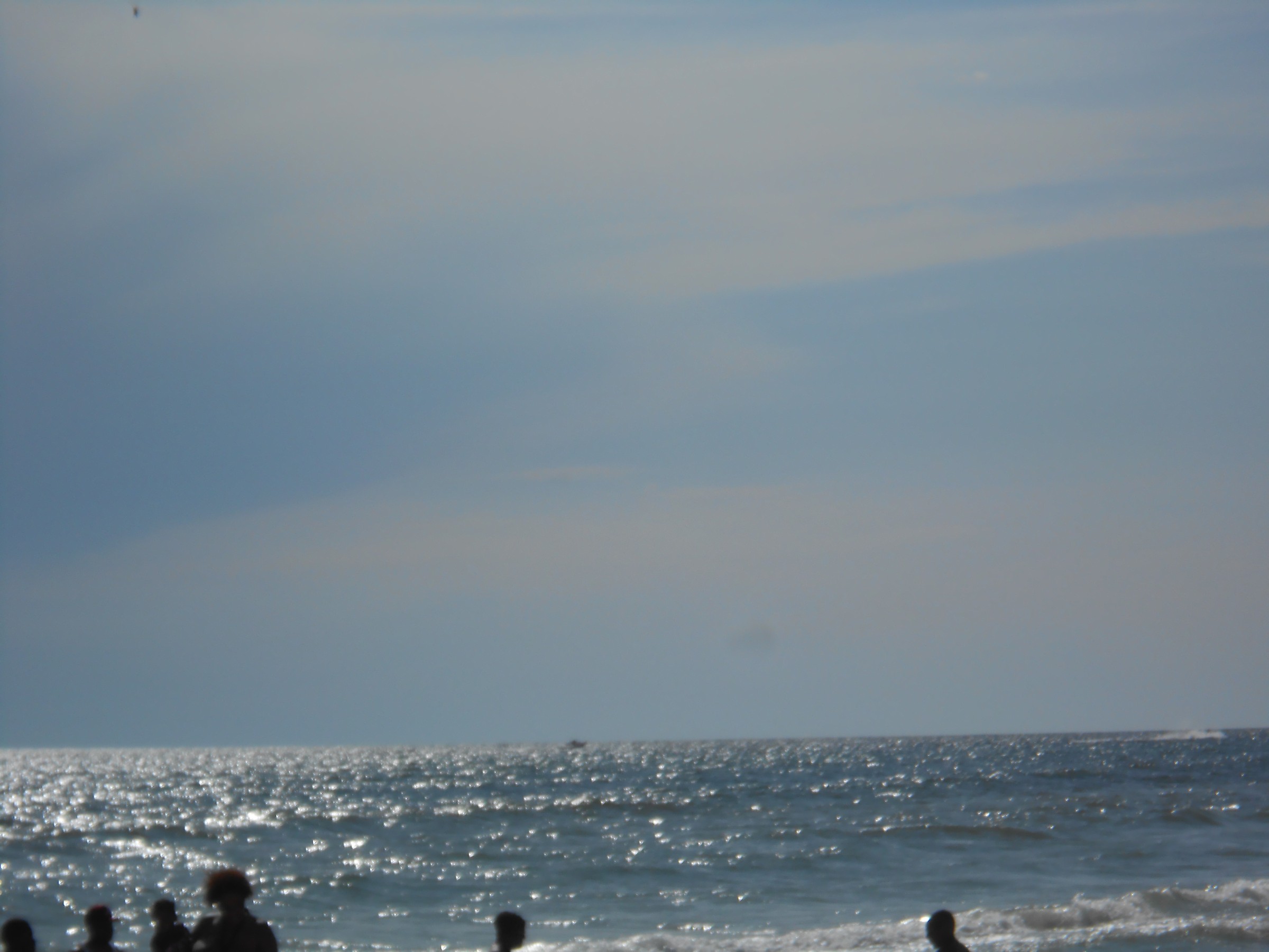 DSCN0203.JPG