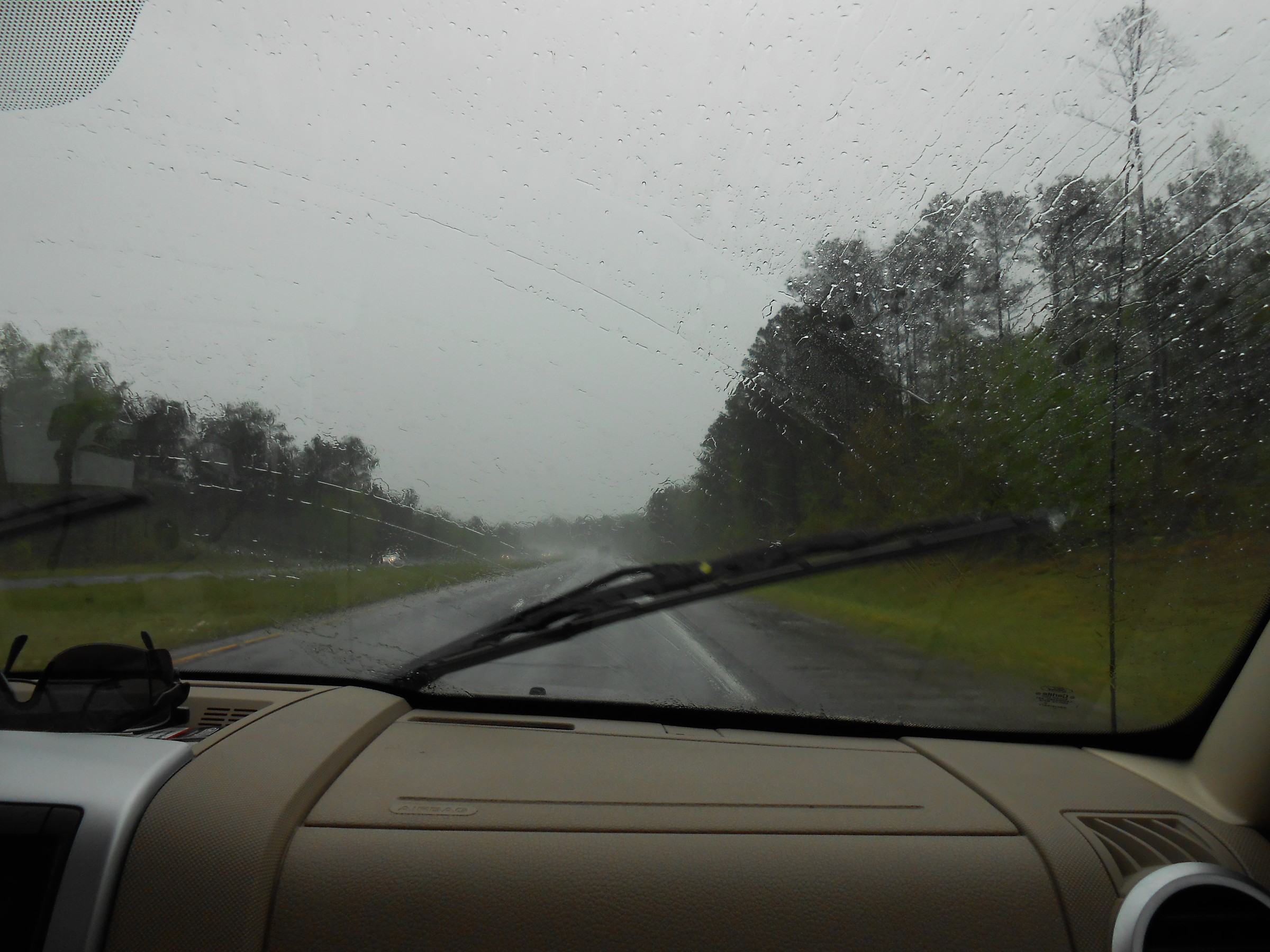 DSCN0209.JPG