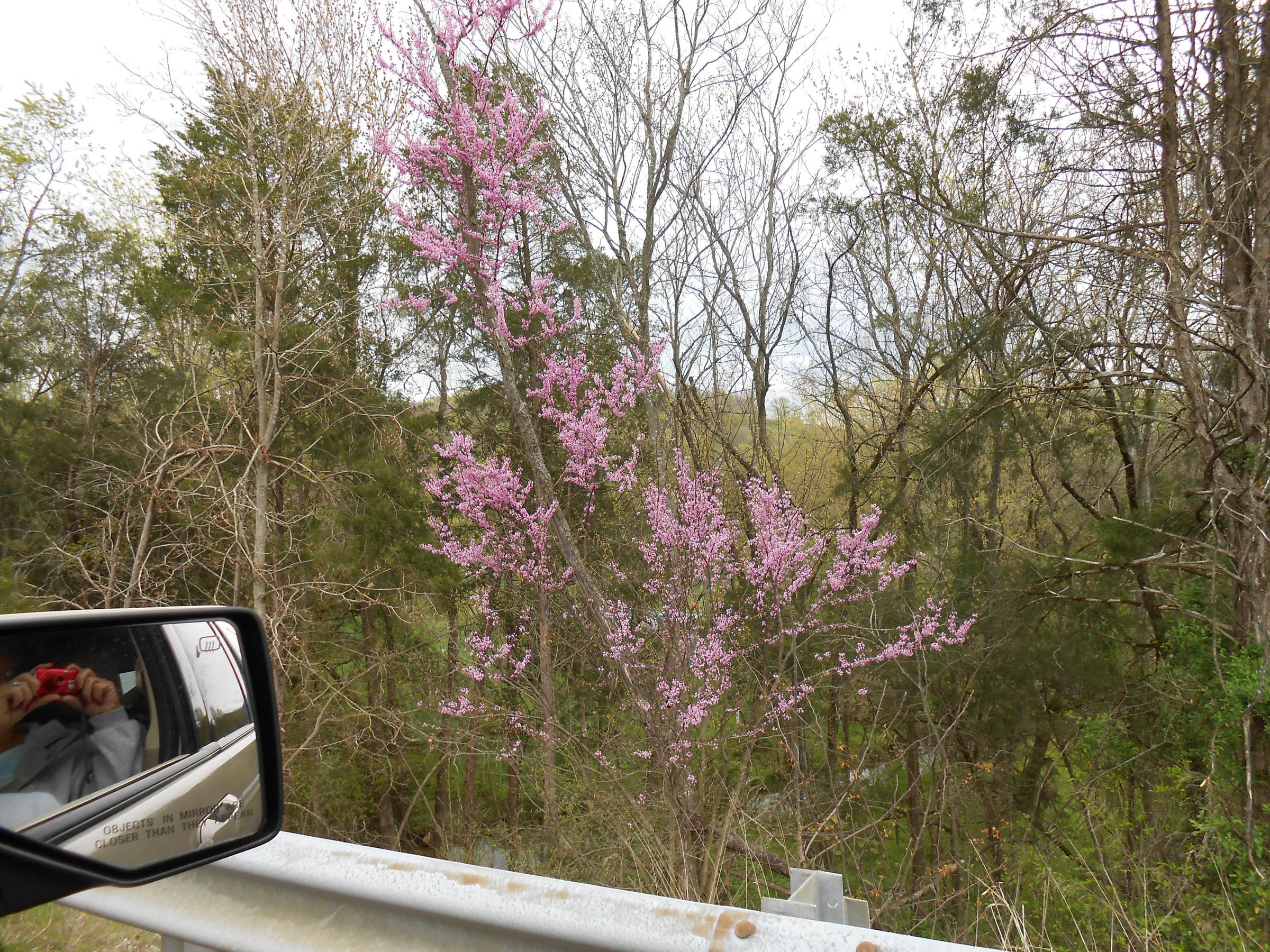 DSCN0212.JPG