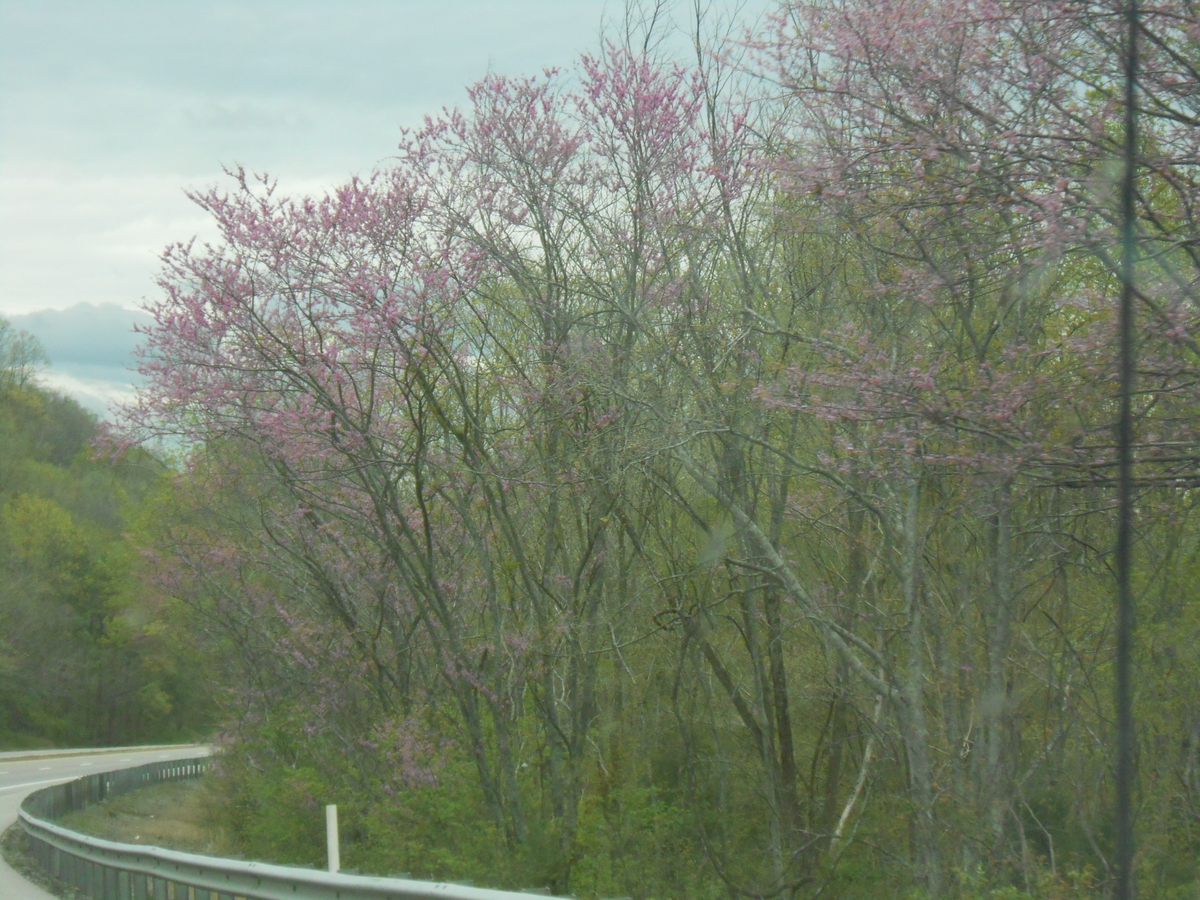 DSCN0219.JPG