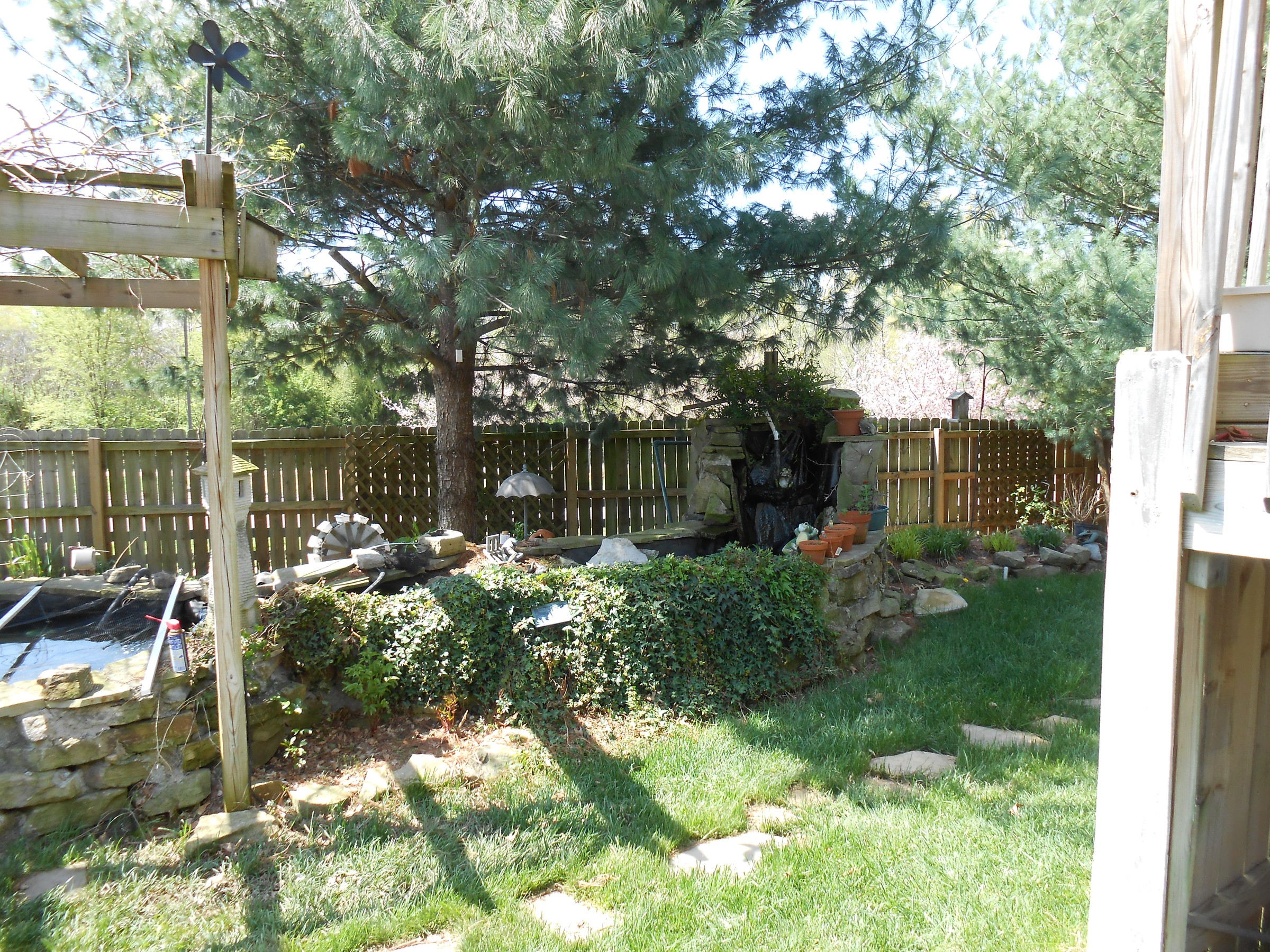 DSCN0227.JPG