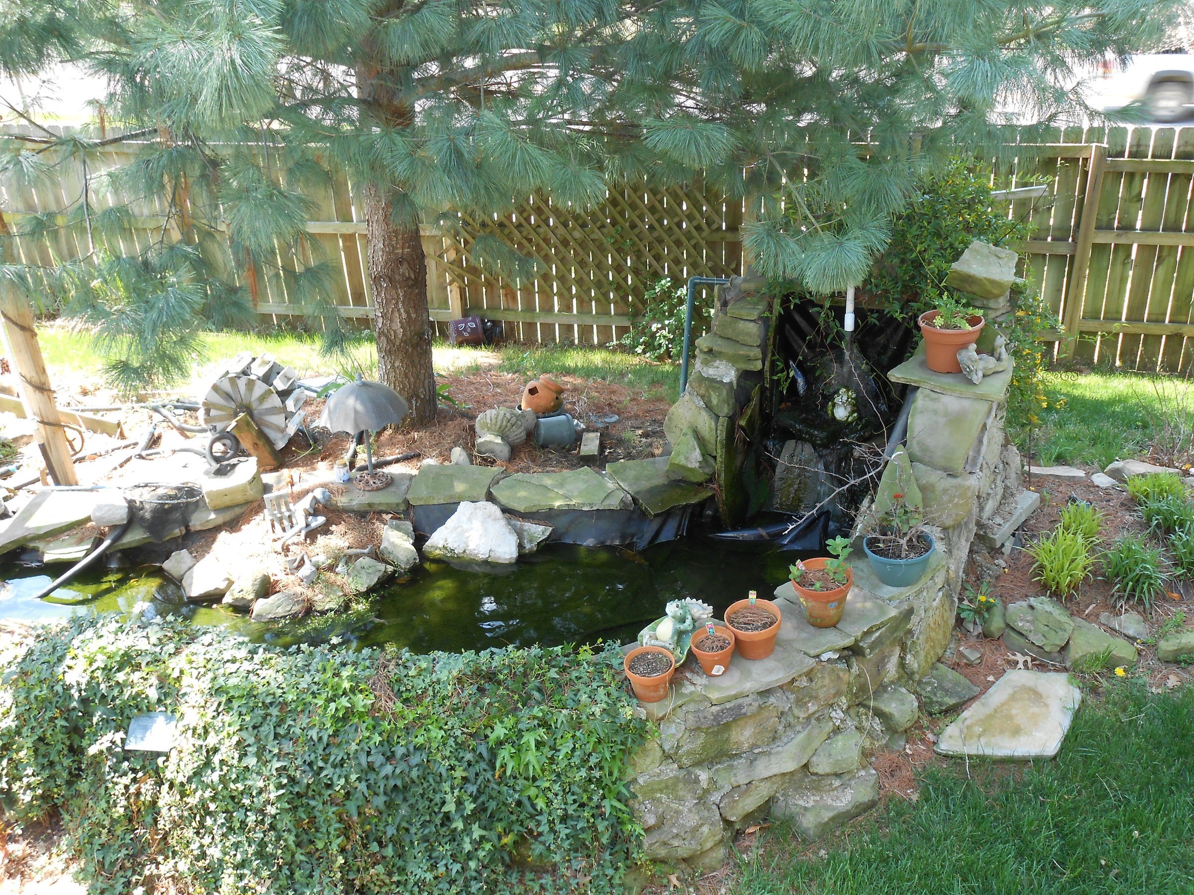 DSCN0229.JPG
