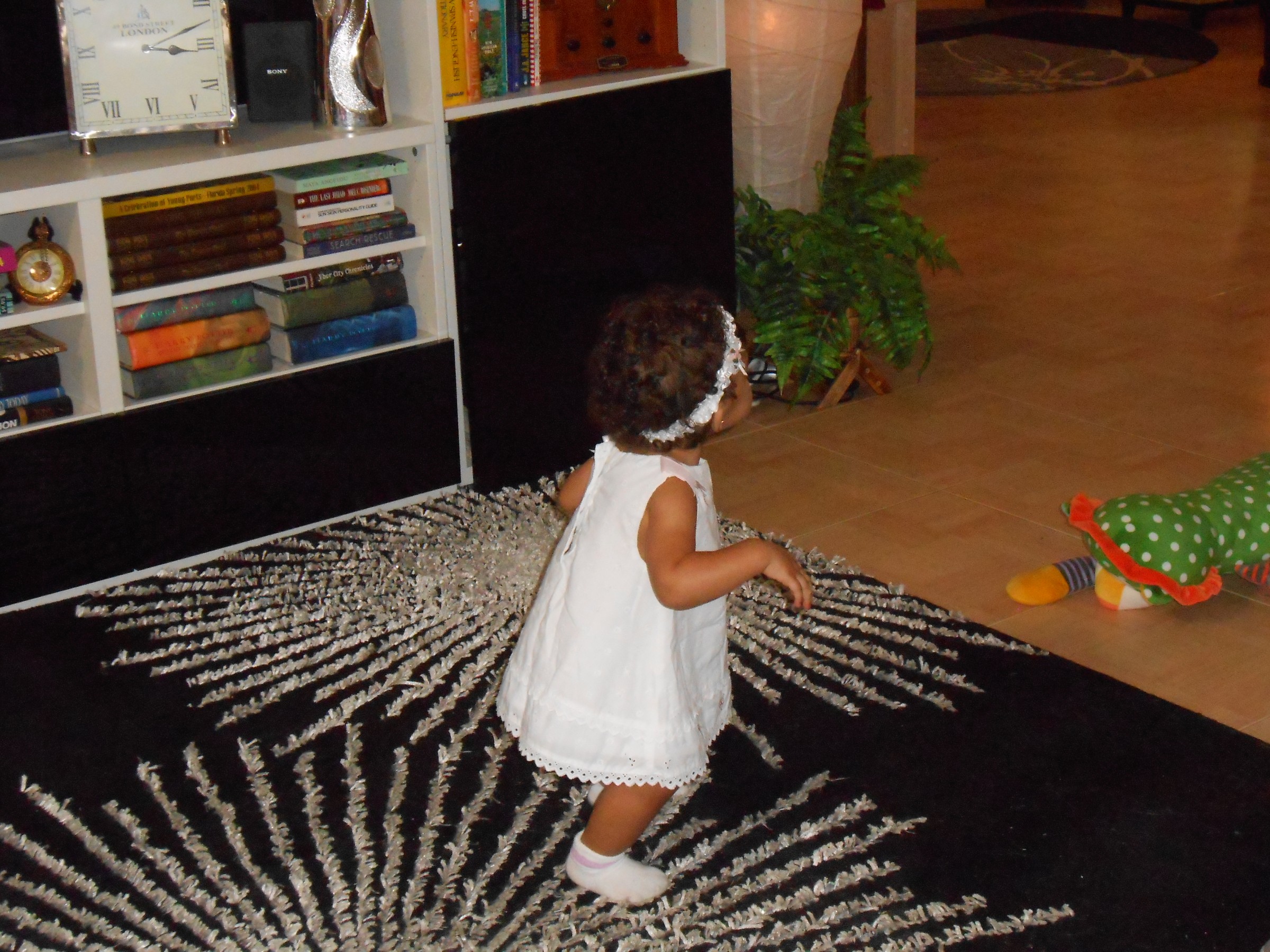 DSCN0429.JPG