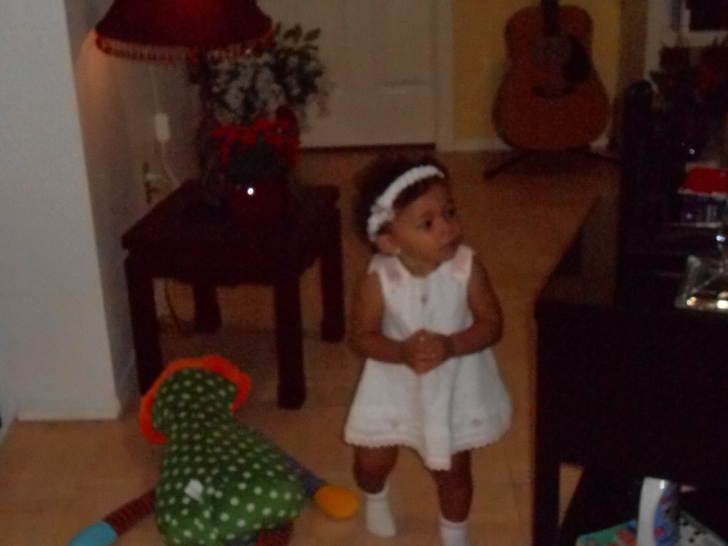 DSCN0431.JPG