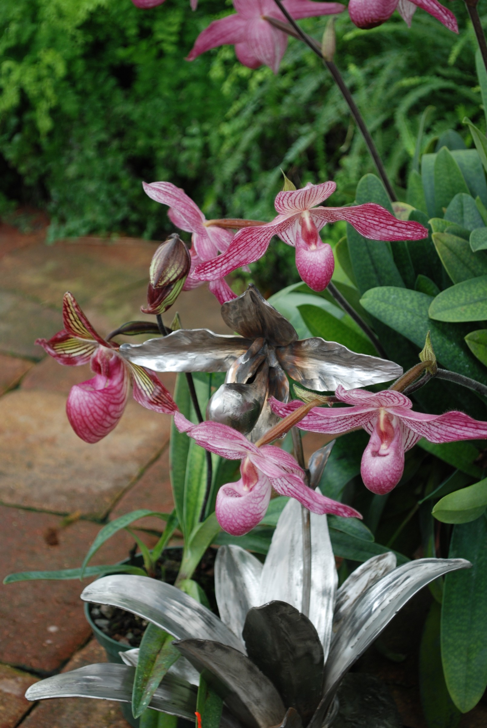 DSC_0051.JPG