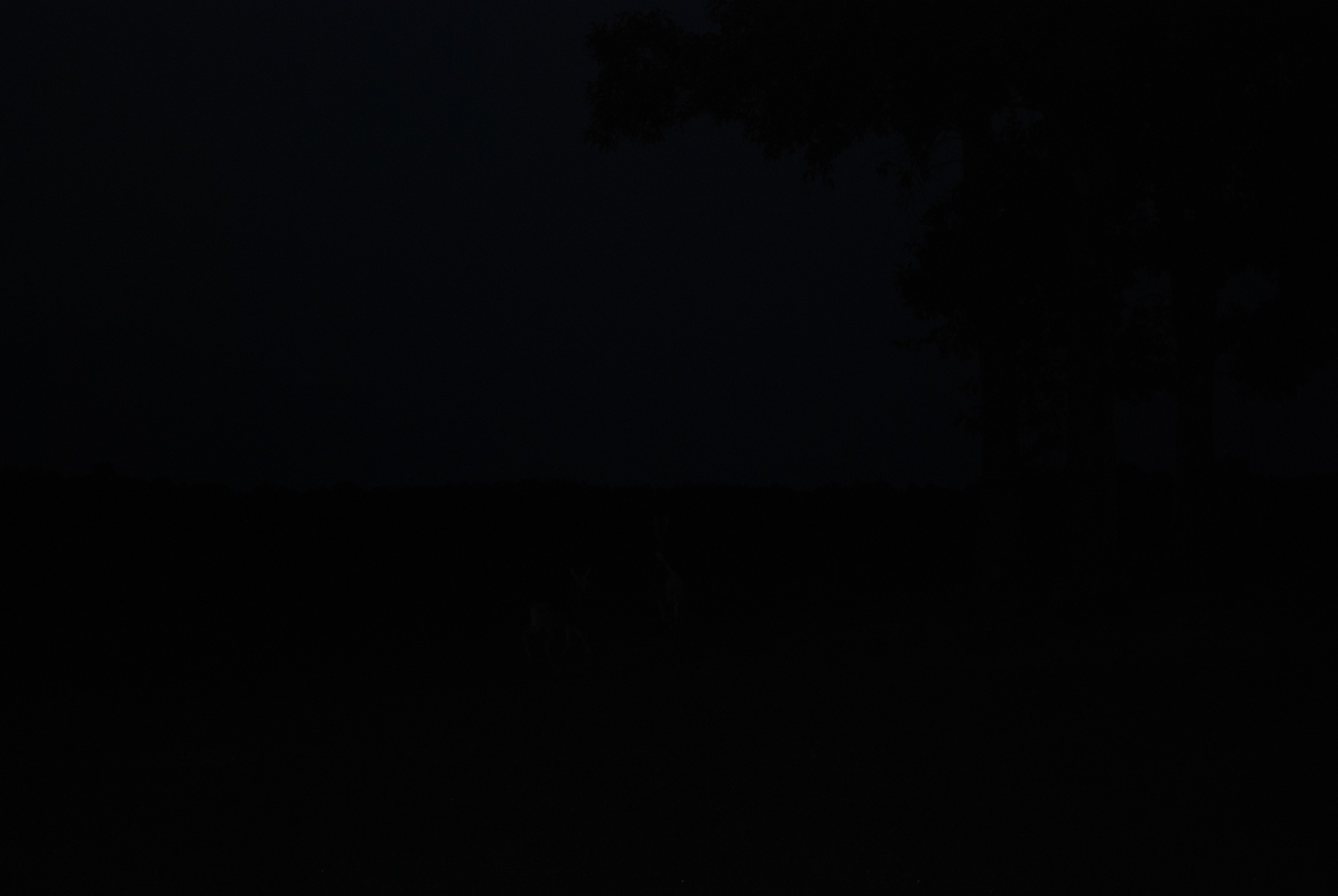 DSC_0155.JPG