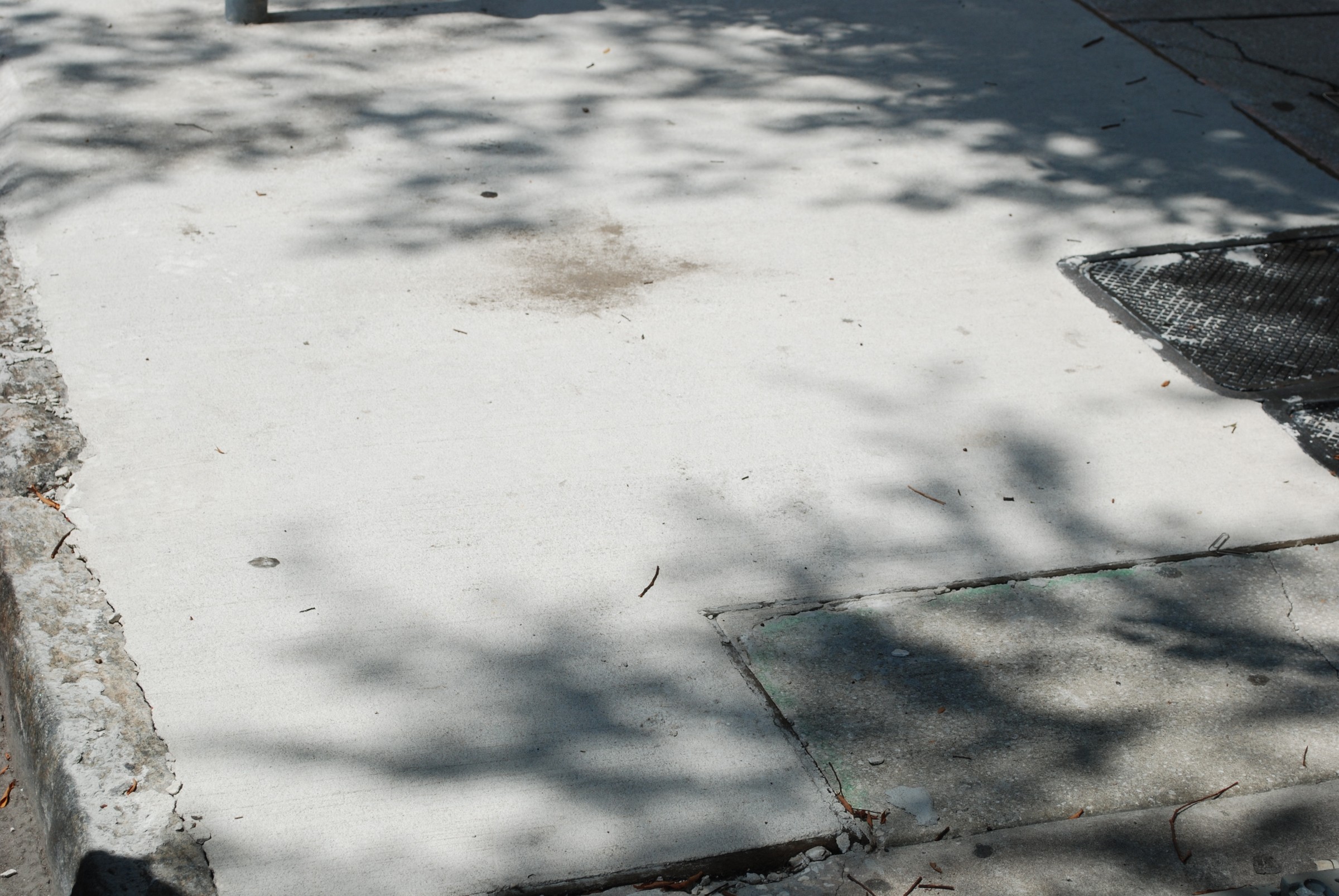 DSC_0190.JPG