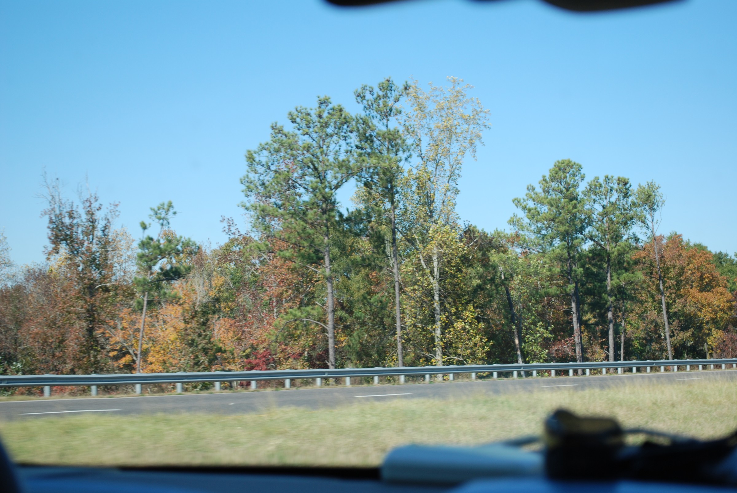 DSC_0215.JPG