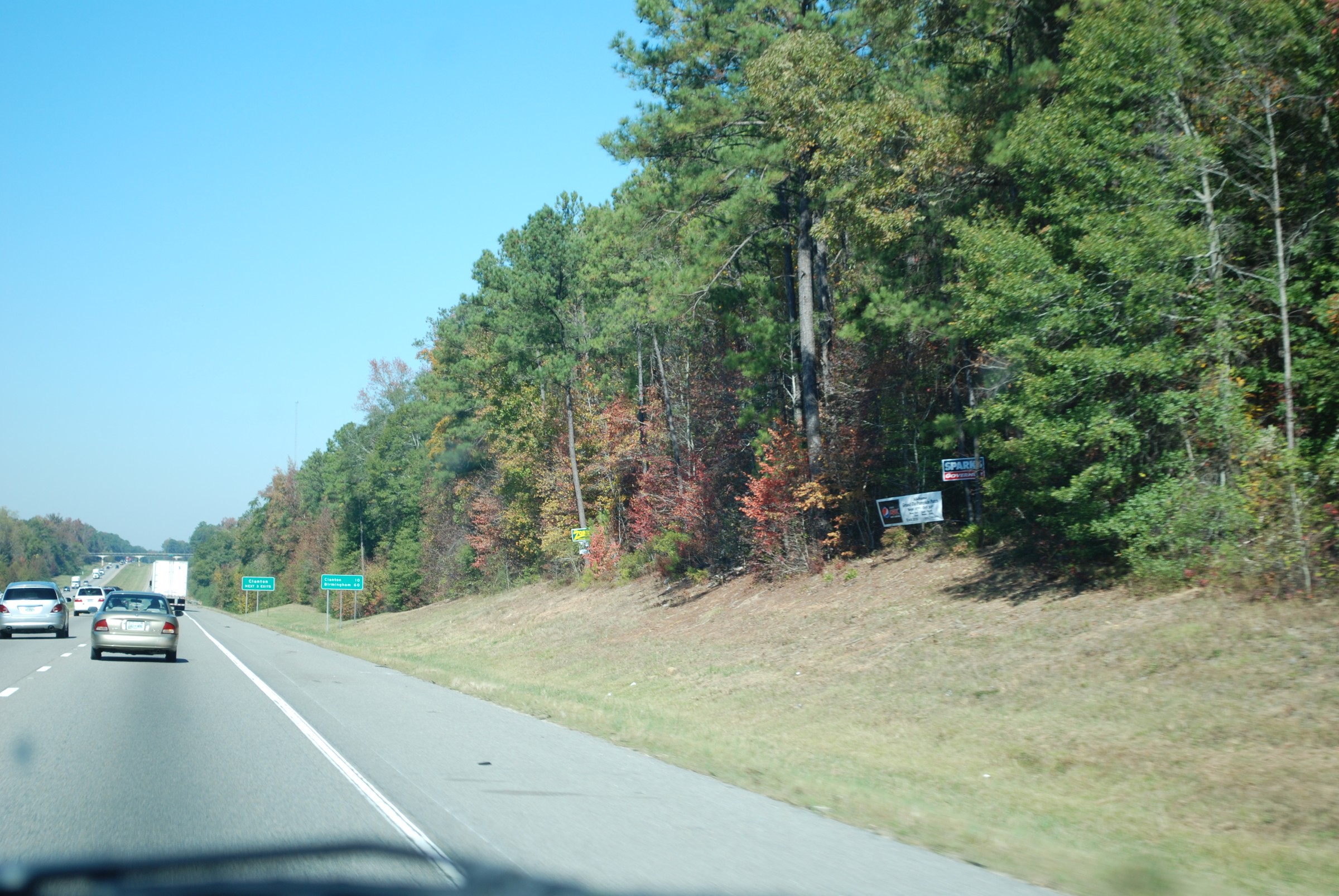 DSC_0220.JPG
