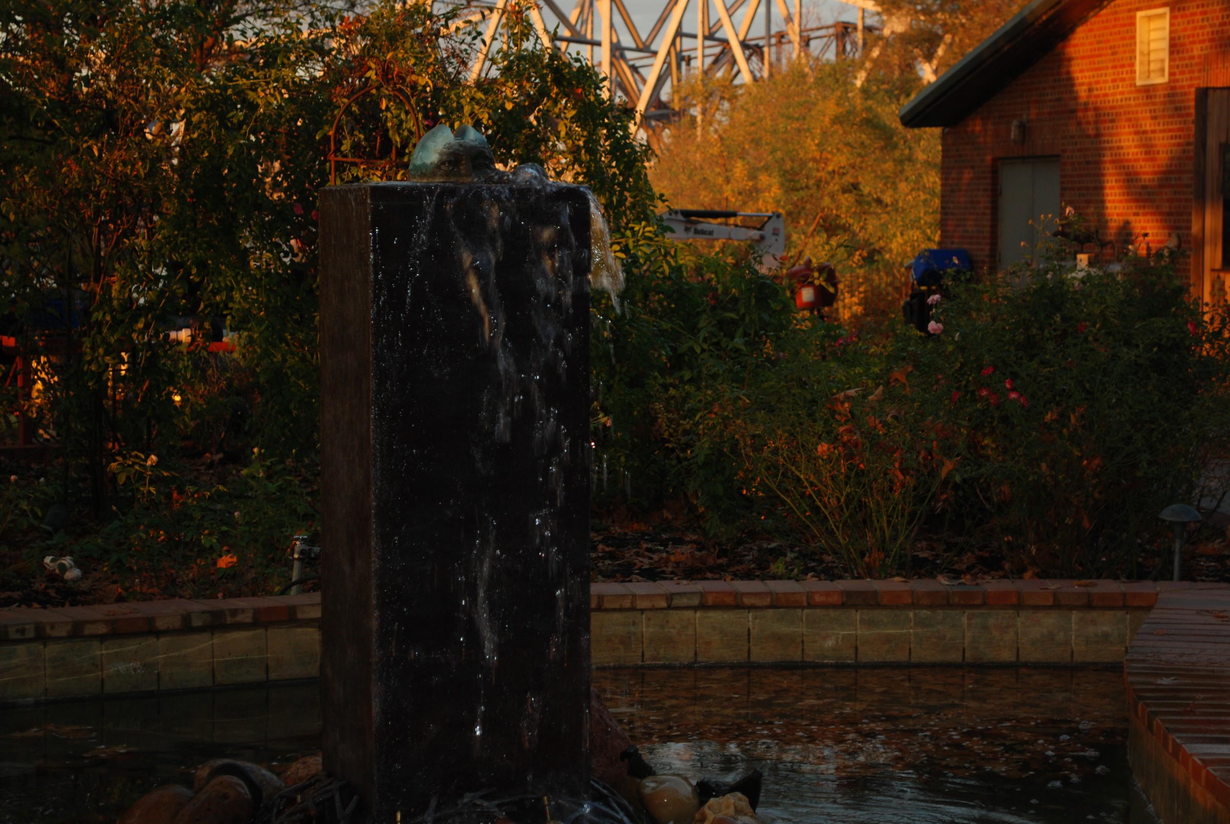 DSC_0250.JPG