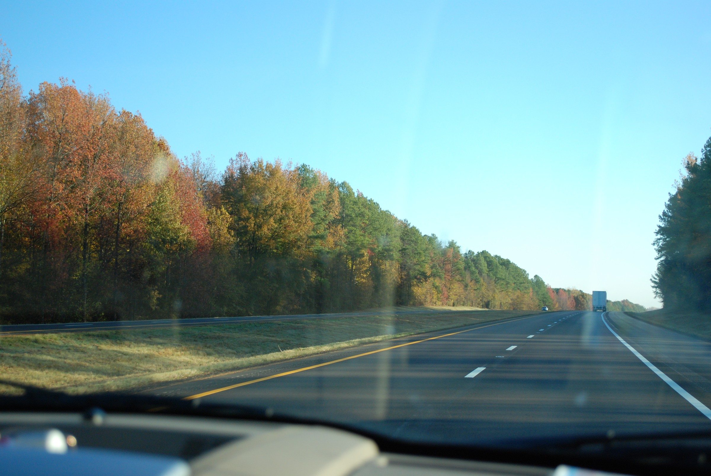 DSC_0264.JPG
