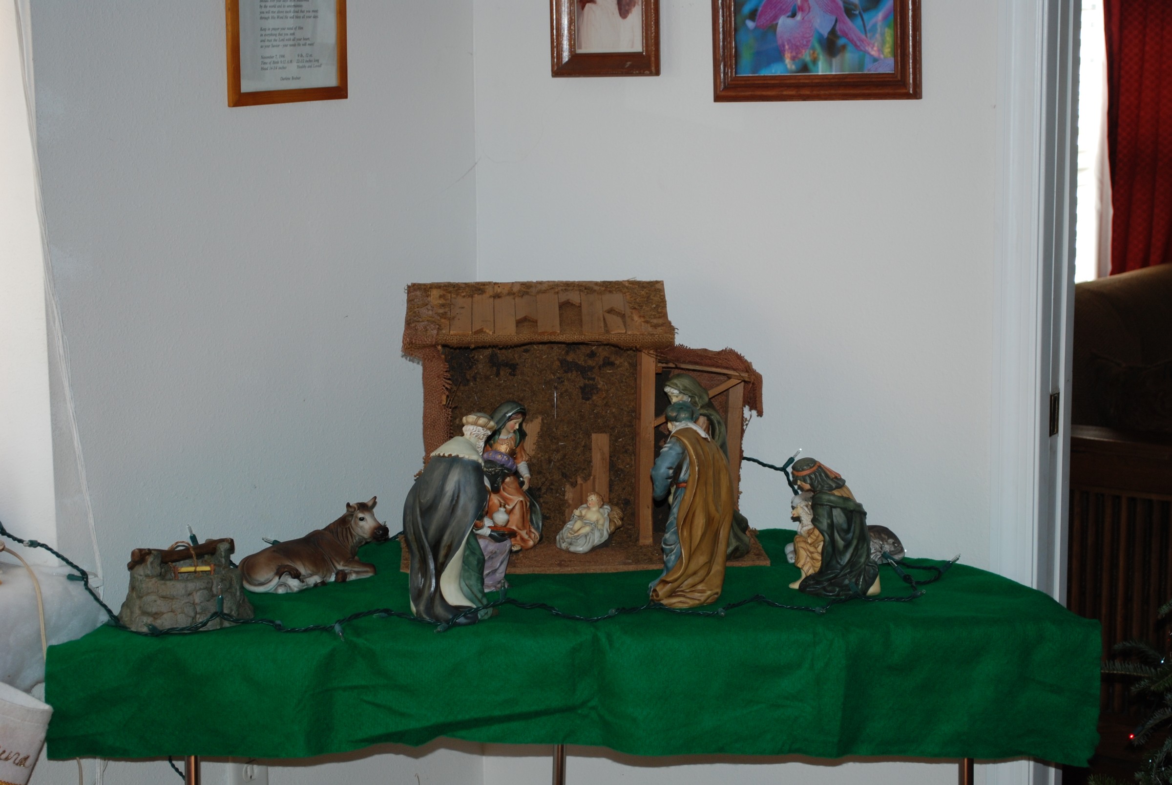 DSC_0311.JPG