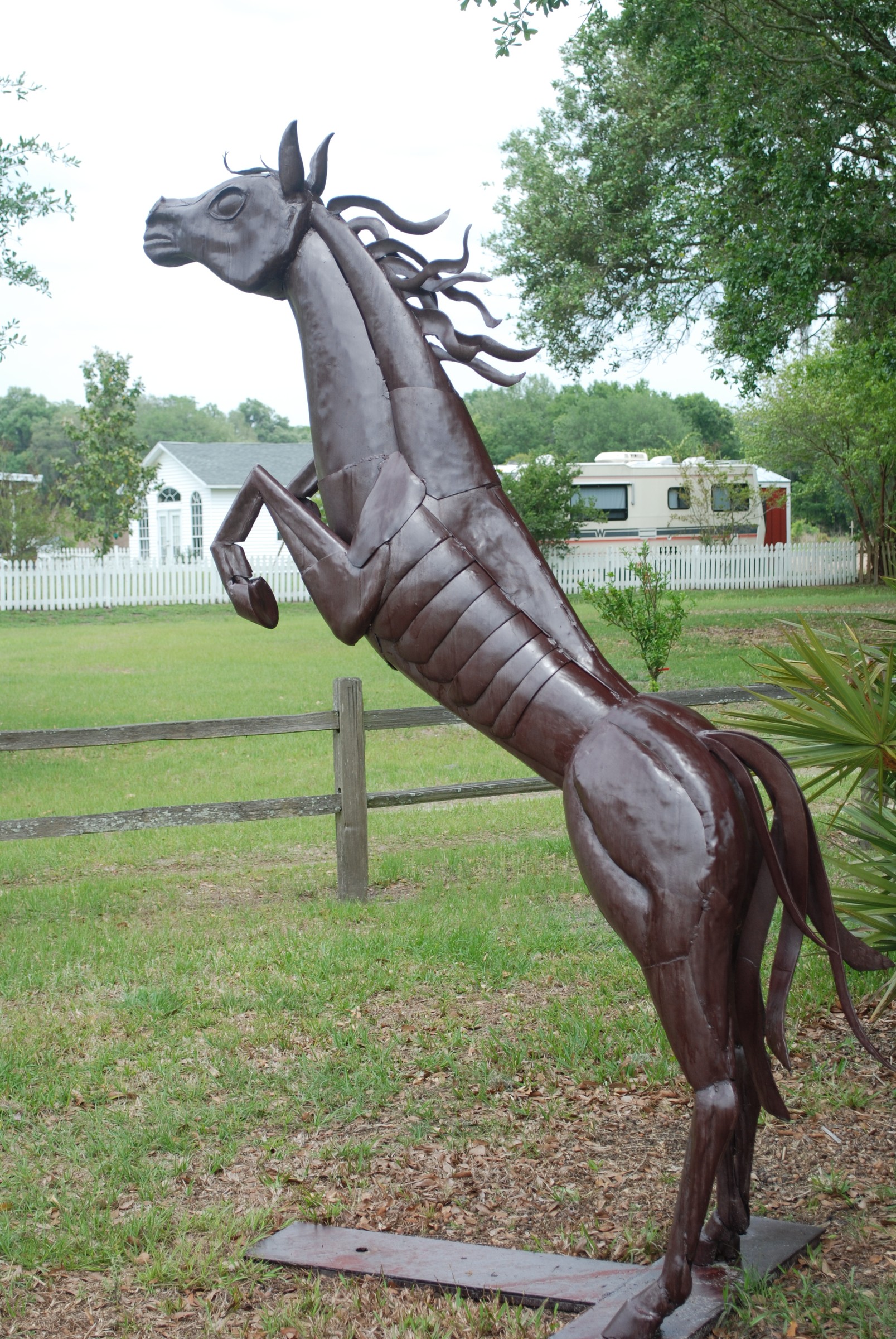 DSC_0426.JPG