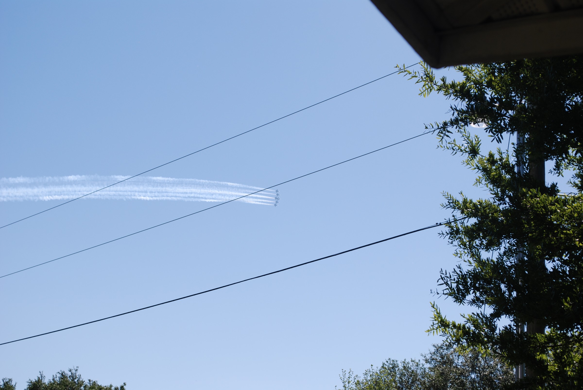 DSC_0428.JPG