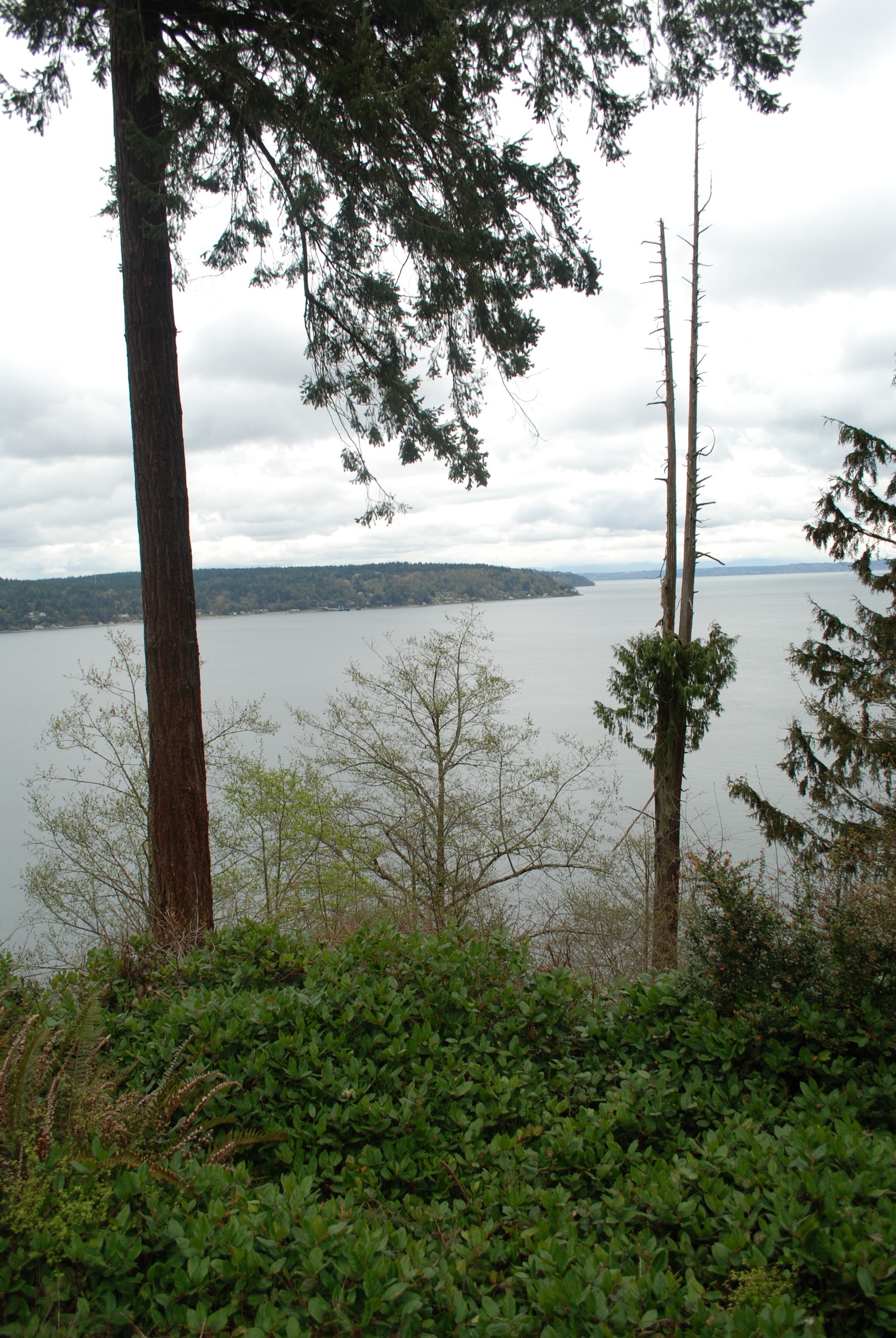 DSC_0458.JPG