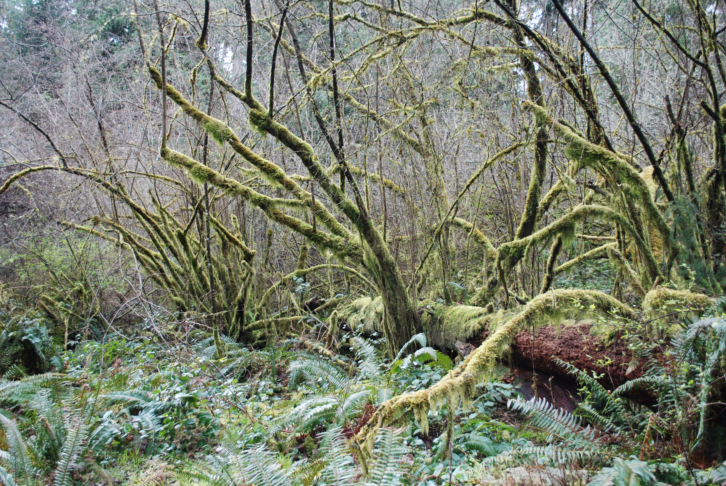 DSC_0467.JPG
