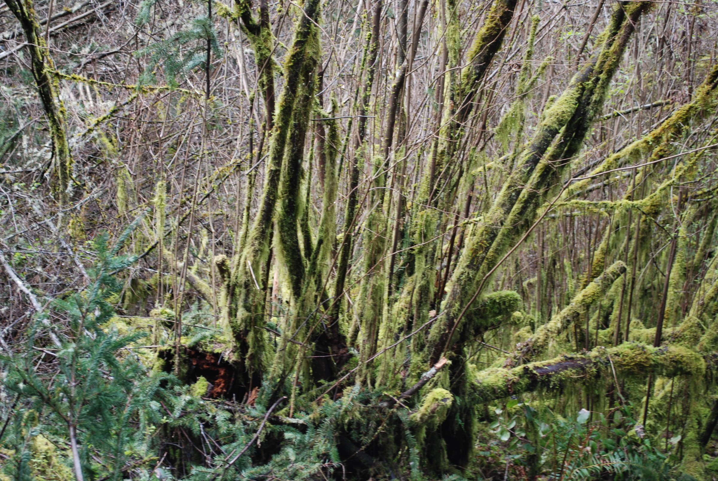 DSC_0469.JPG