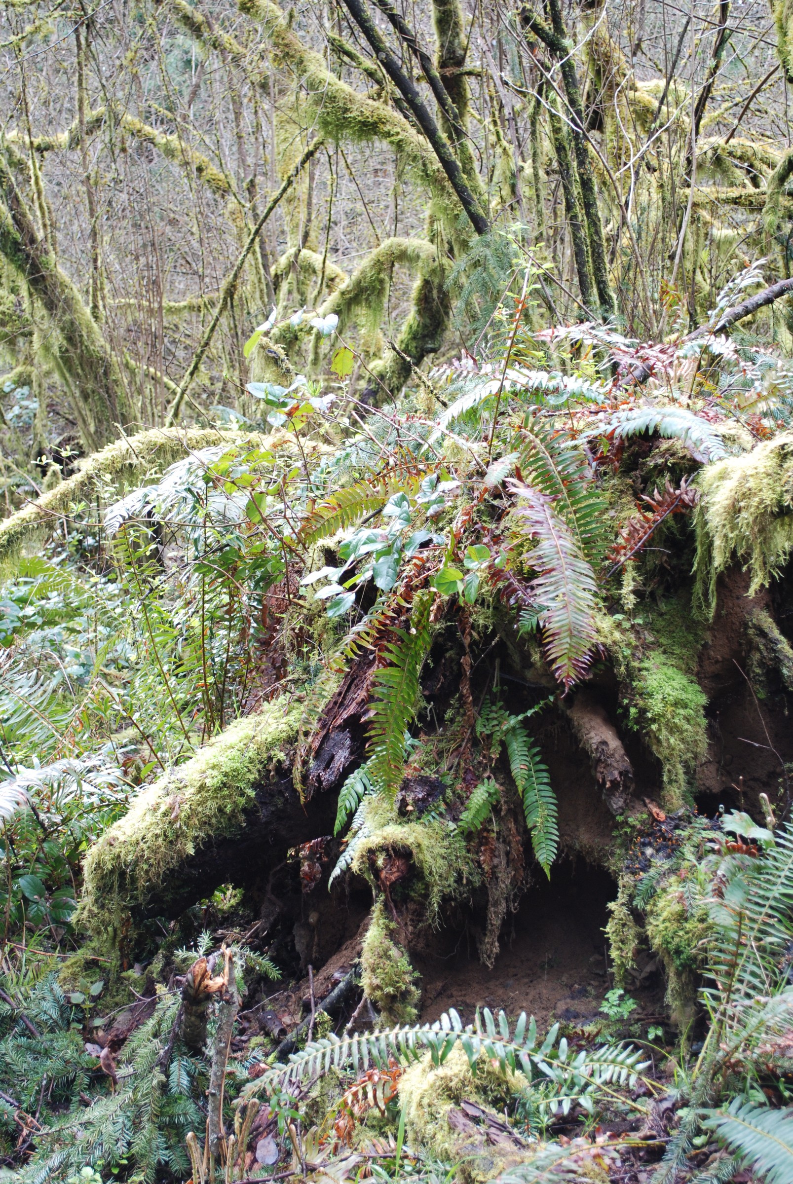 DSC_0470.JPG