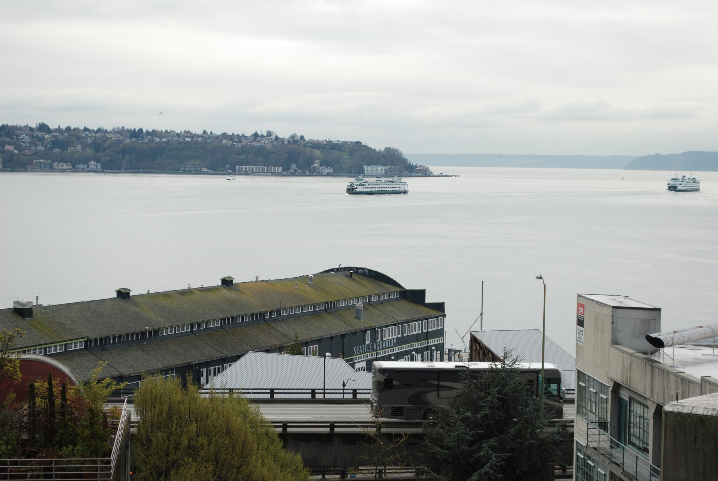 DSC_0490.JPG