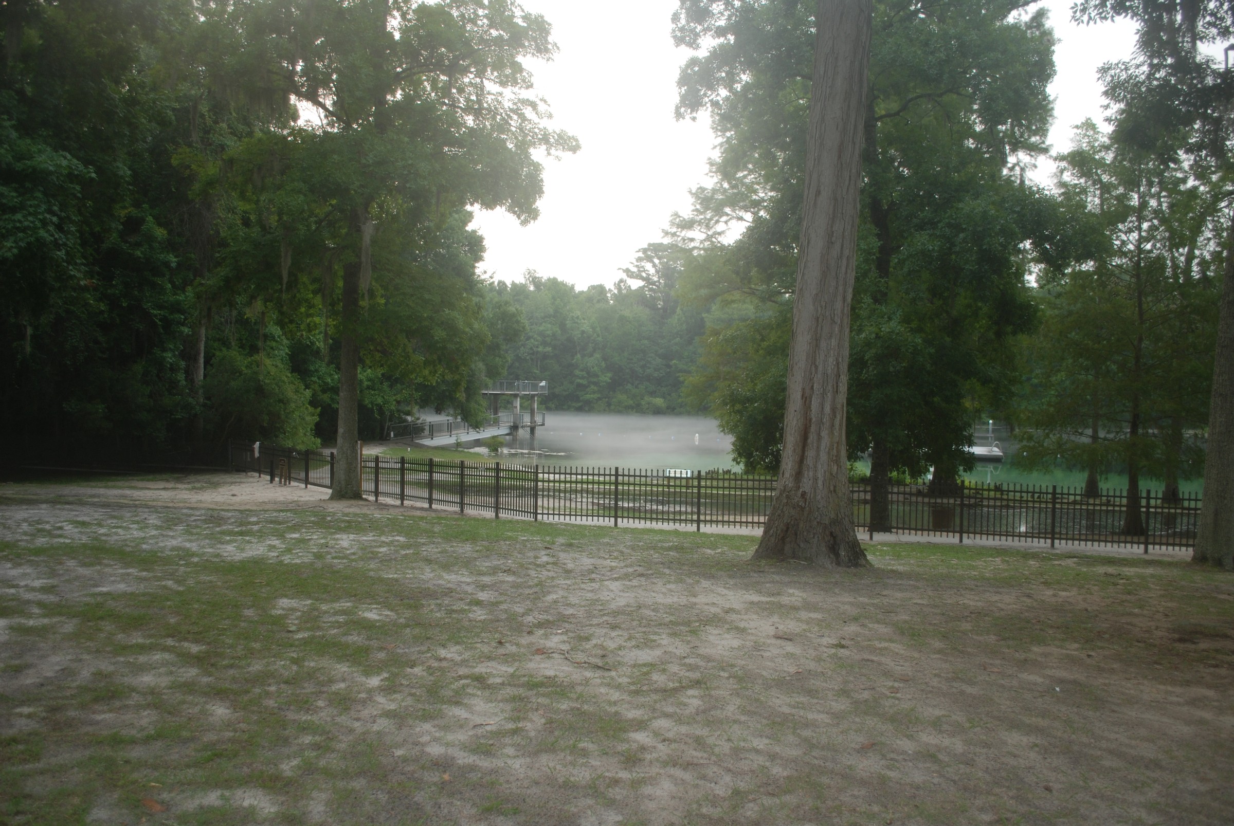 DSC_0642.JPG