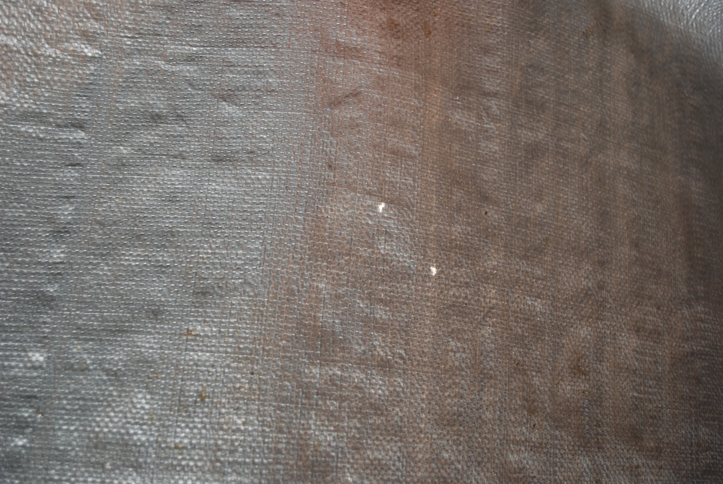 DSC_0651.JPG