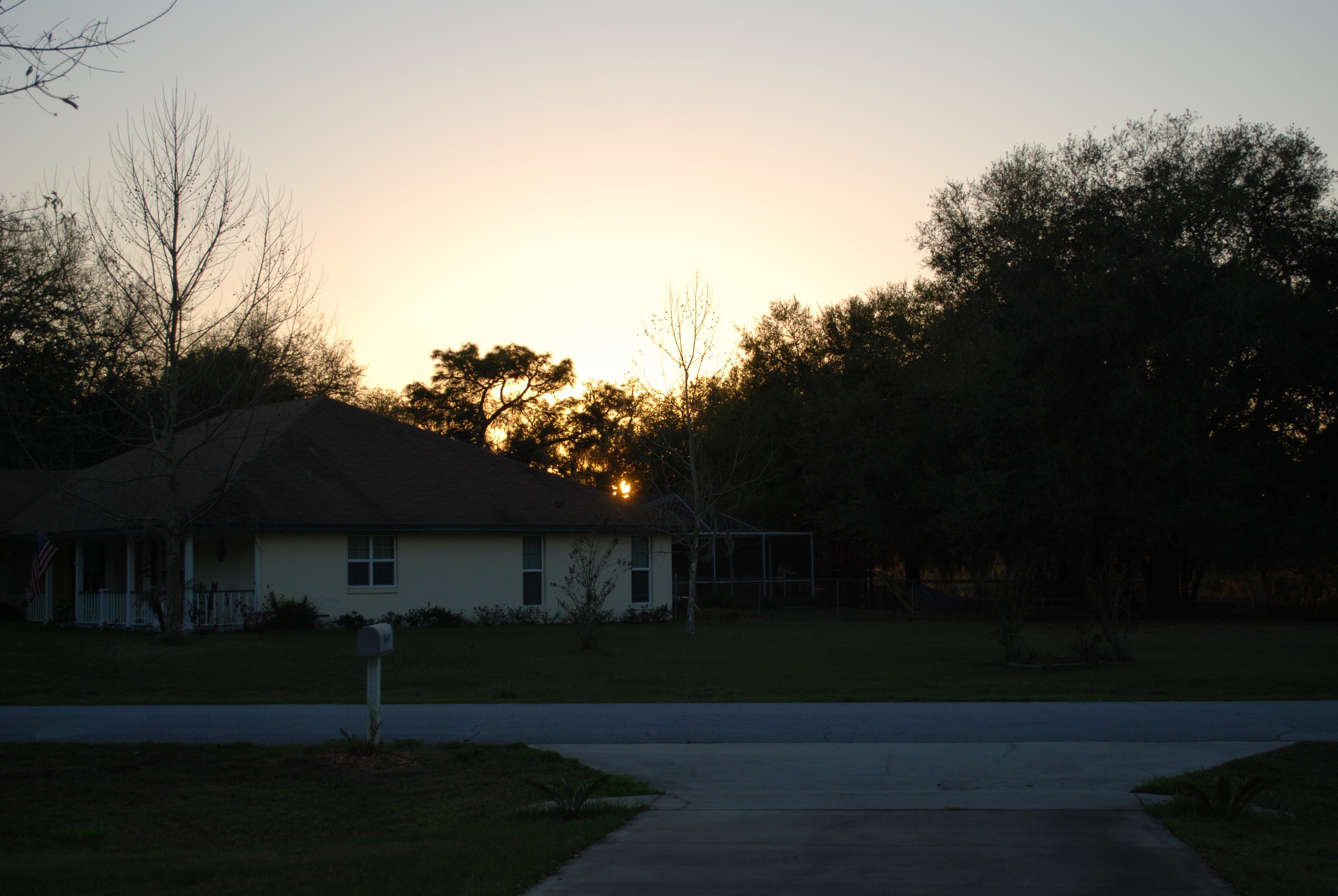 DSC_0752.JPG