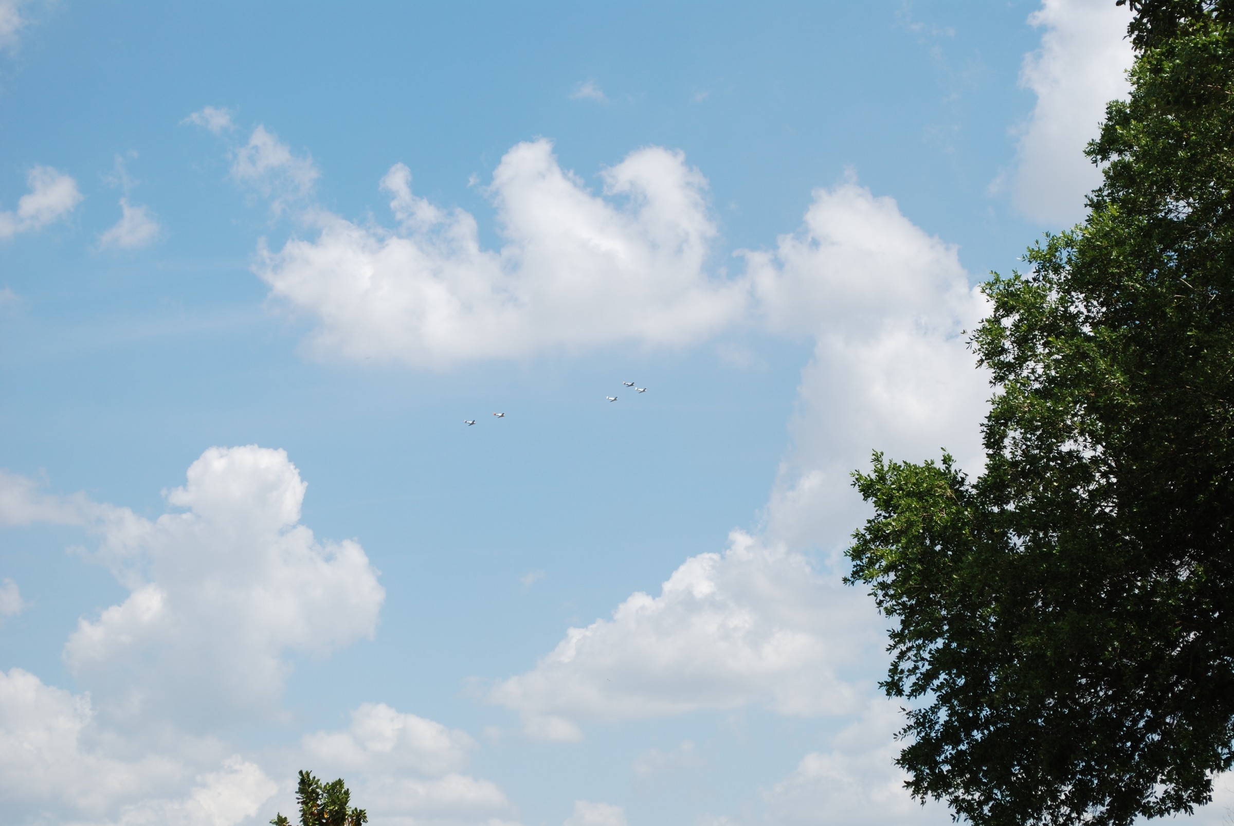 DSC_0756.JPG