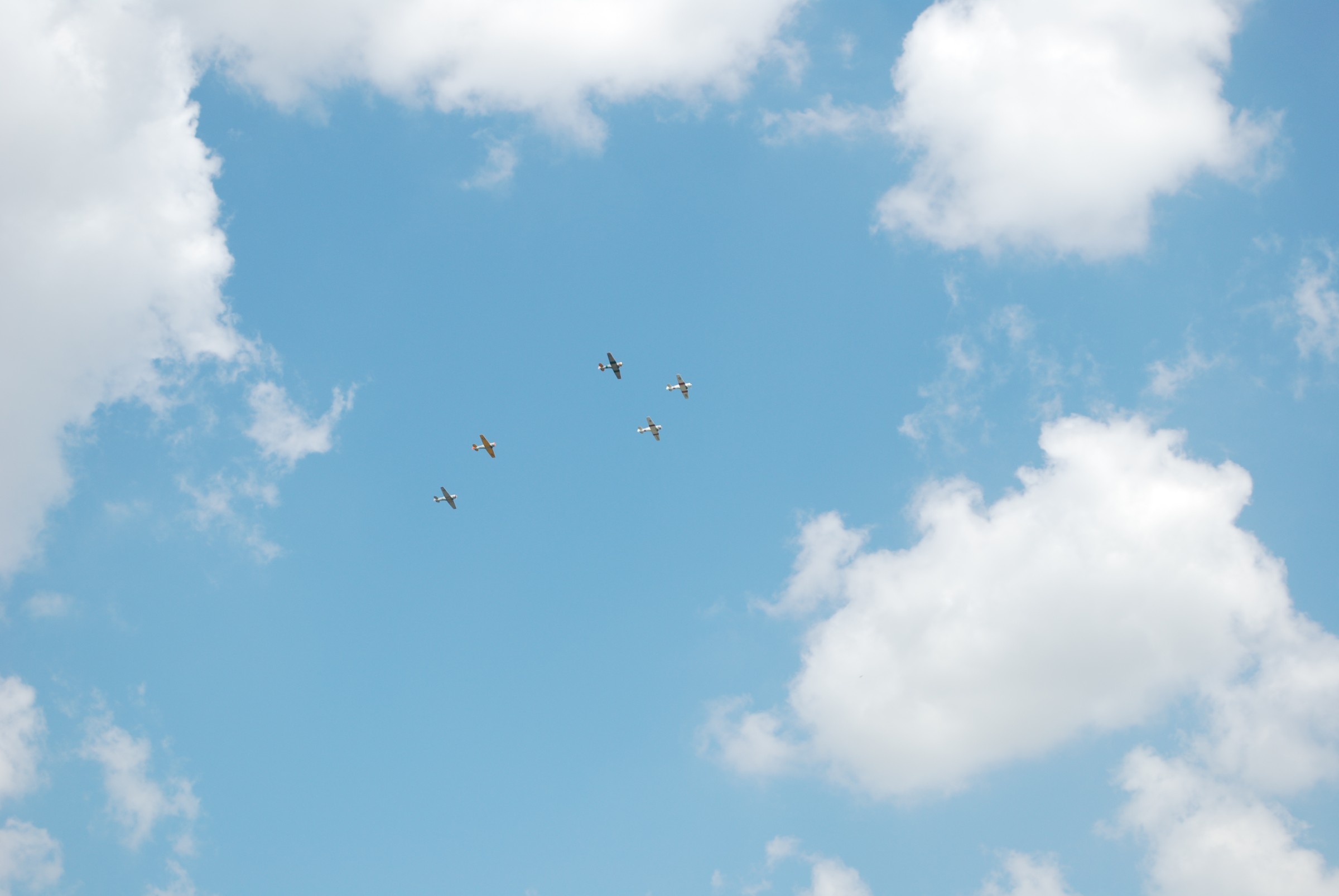 DSC_0758.JPG
