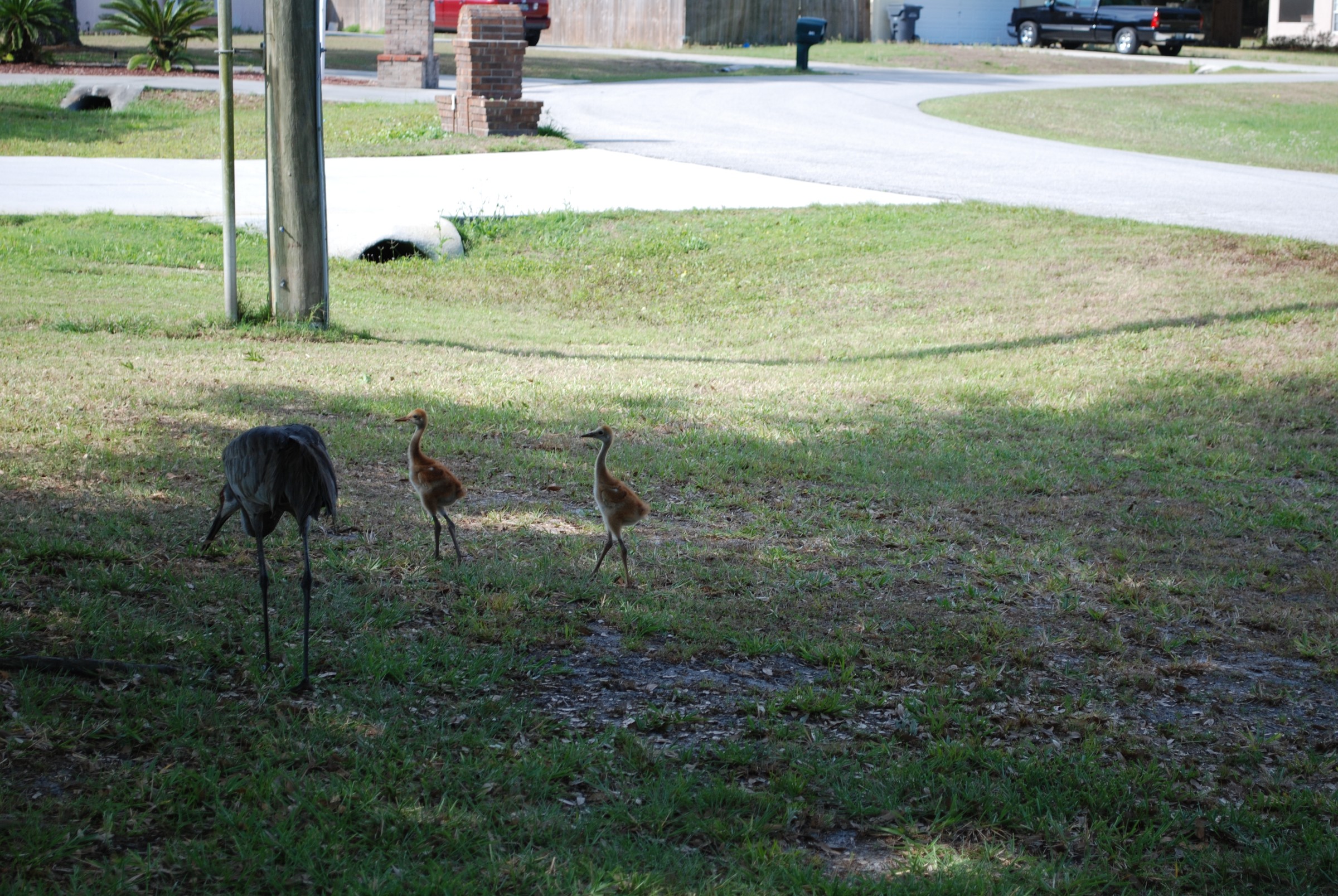 DSC_0762.JPG