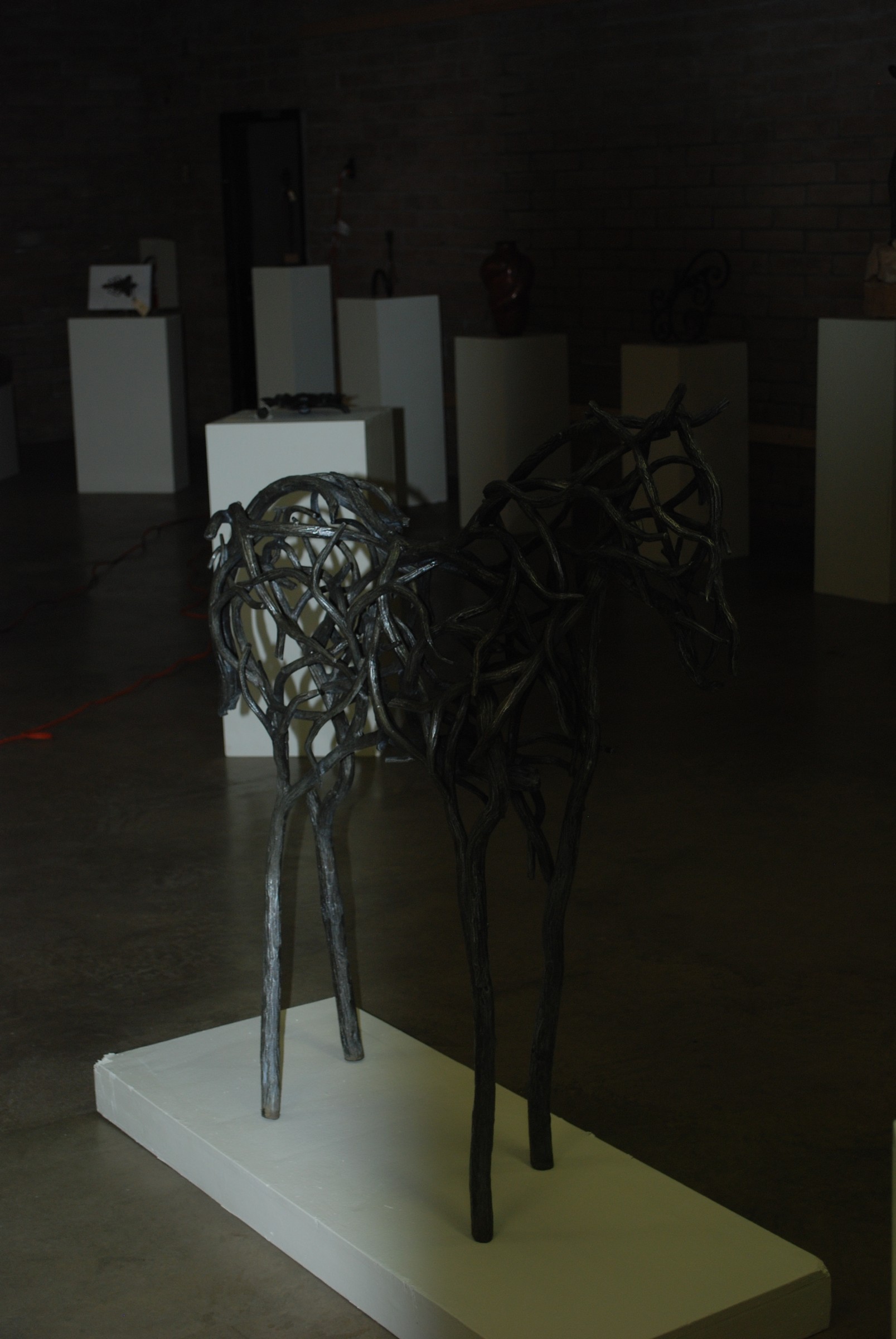 DSC_0806.JPG