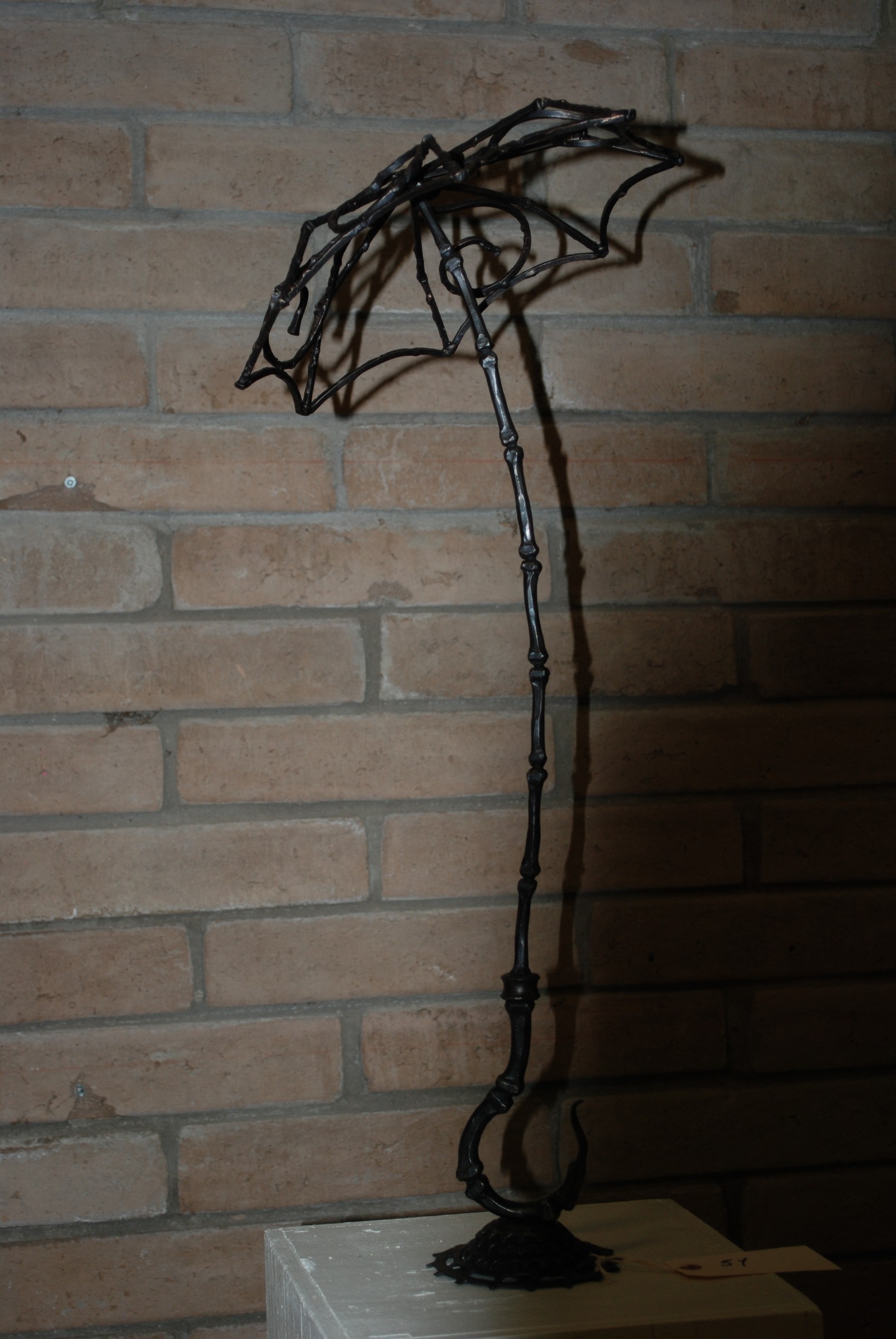 DSC_0815.JPG