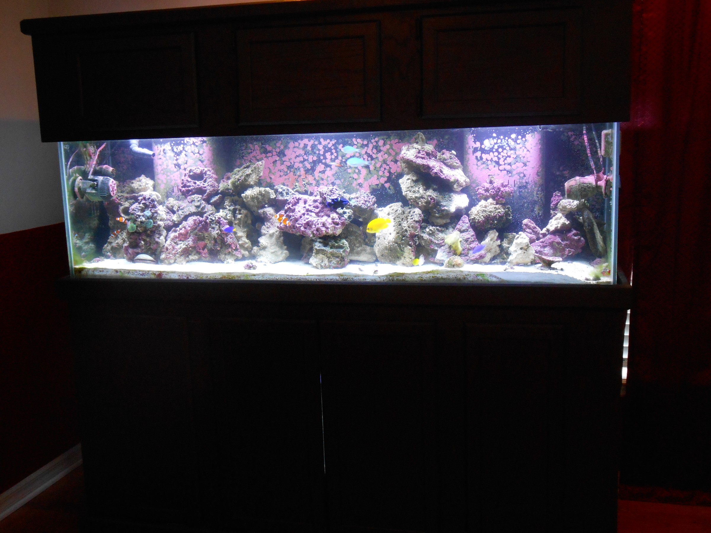 DSCN0523.jpg