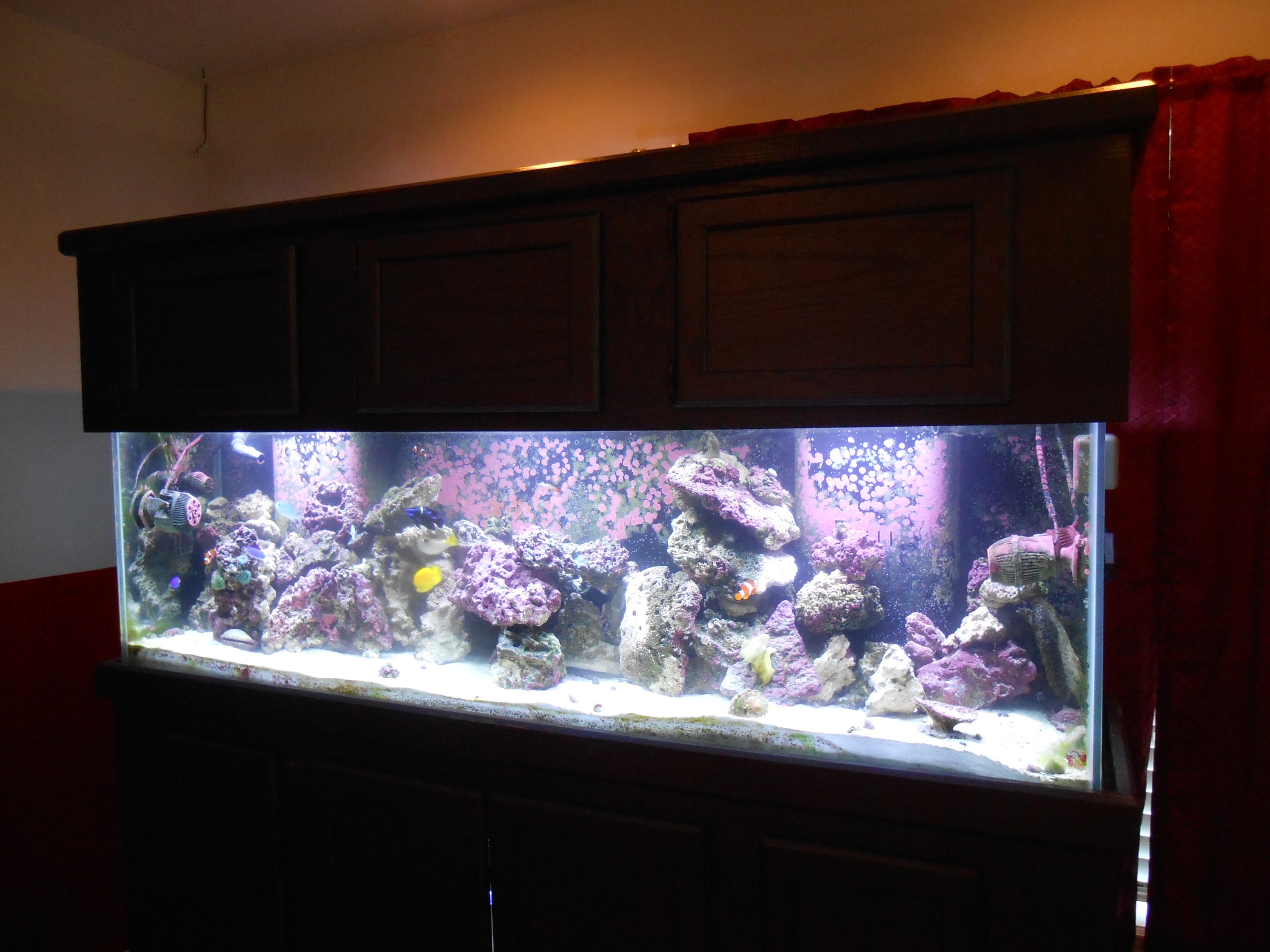 DSCN0528.jpg