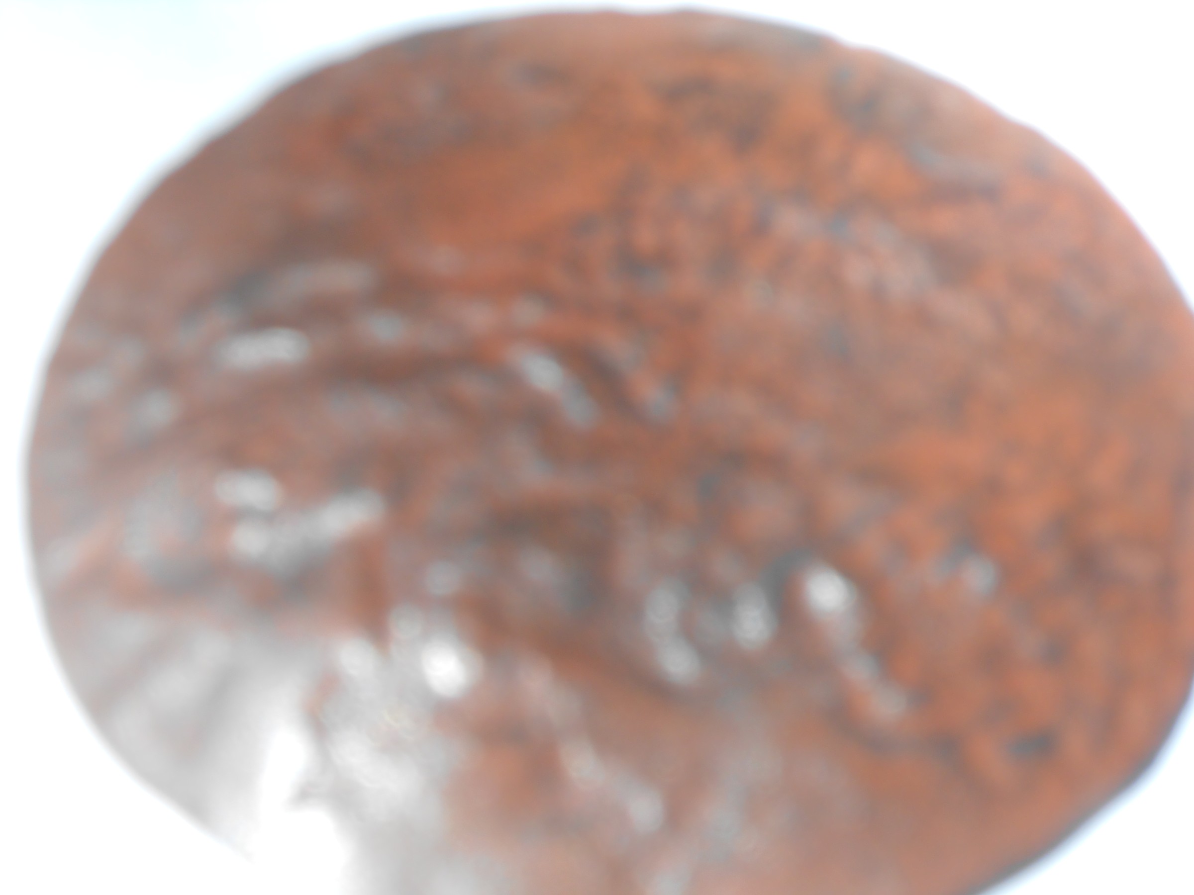 DSCN0144.jpg