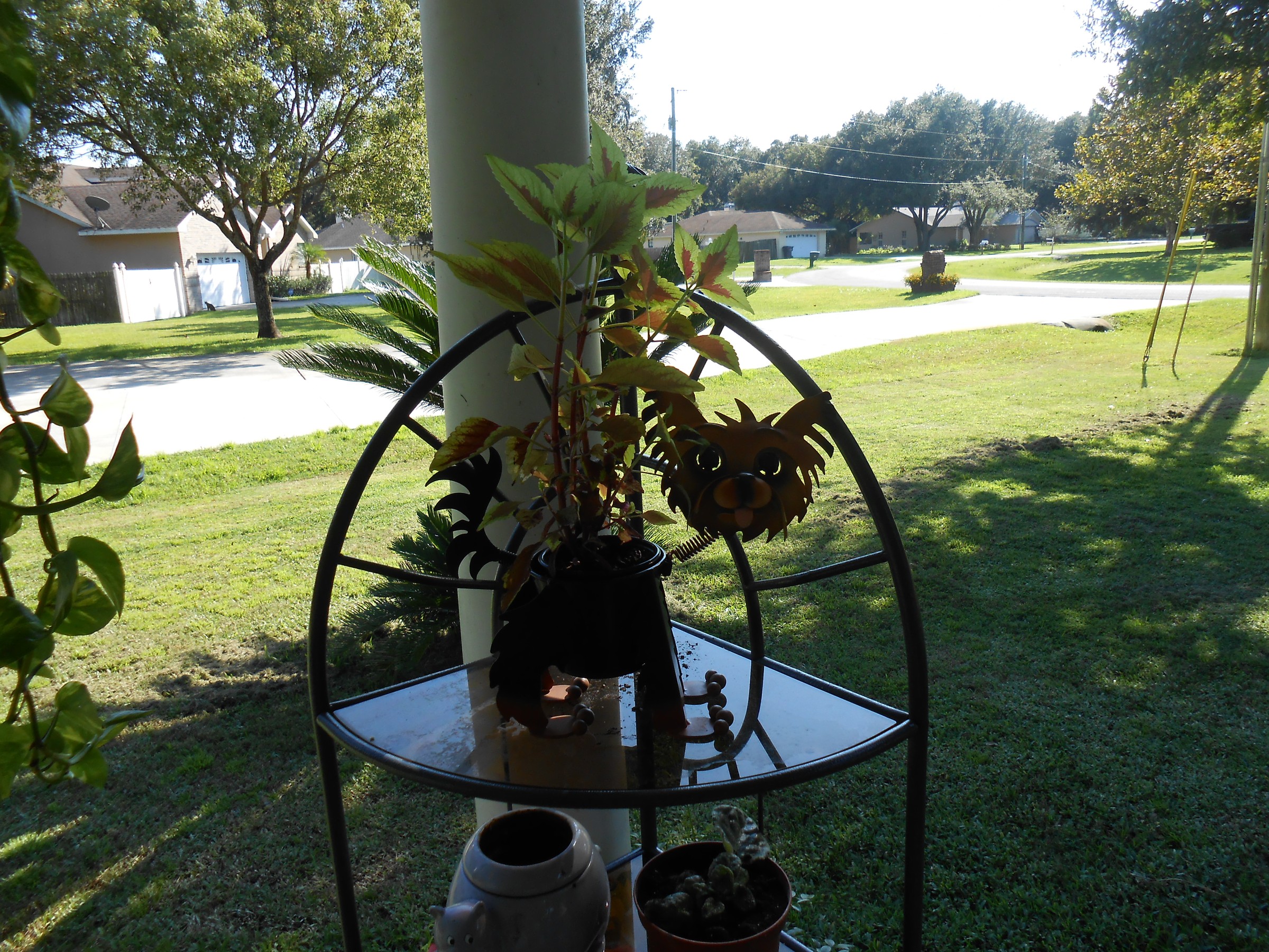 DSCN0546.jpg