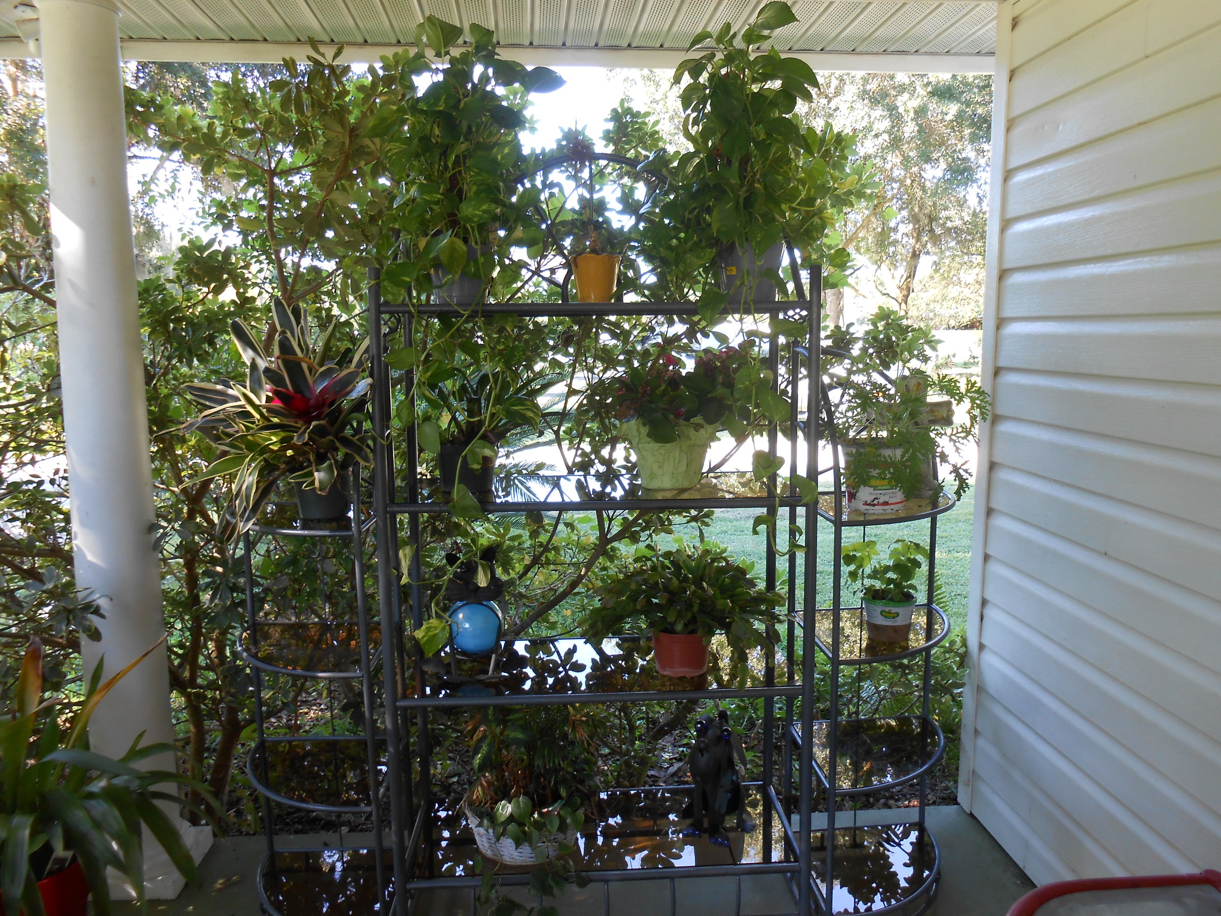 DSCN0547.jpg