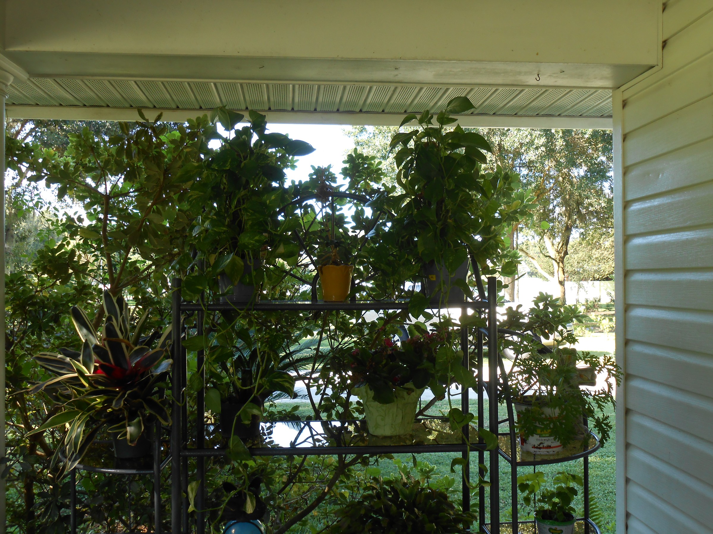 DSCN0548.jpg