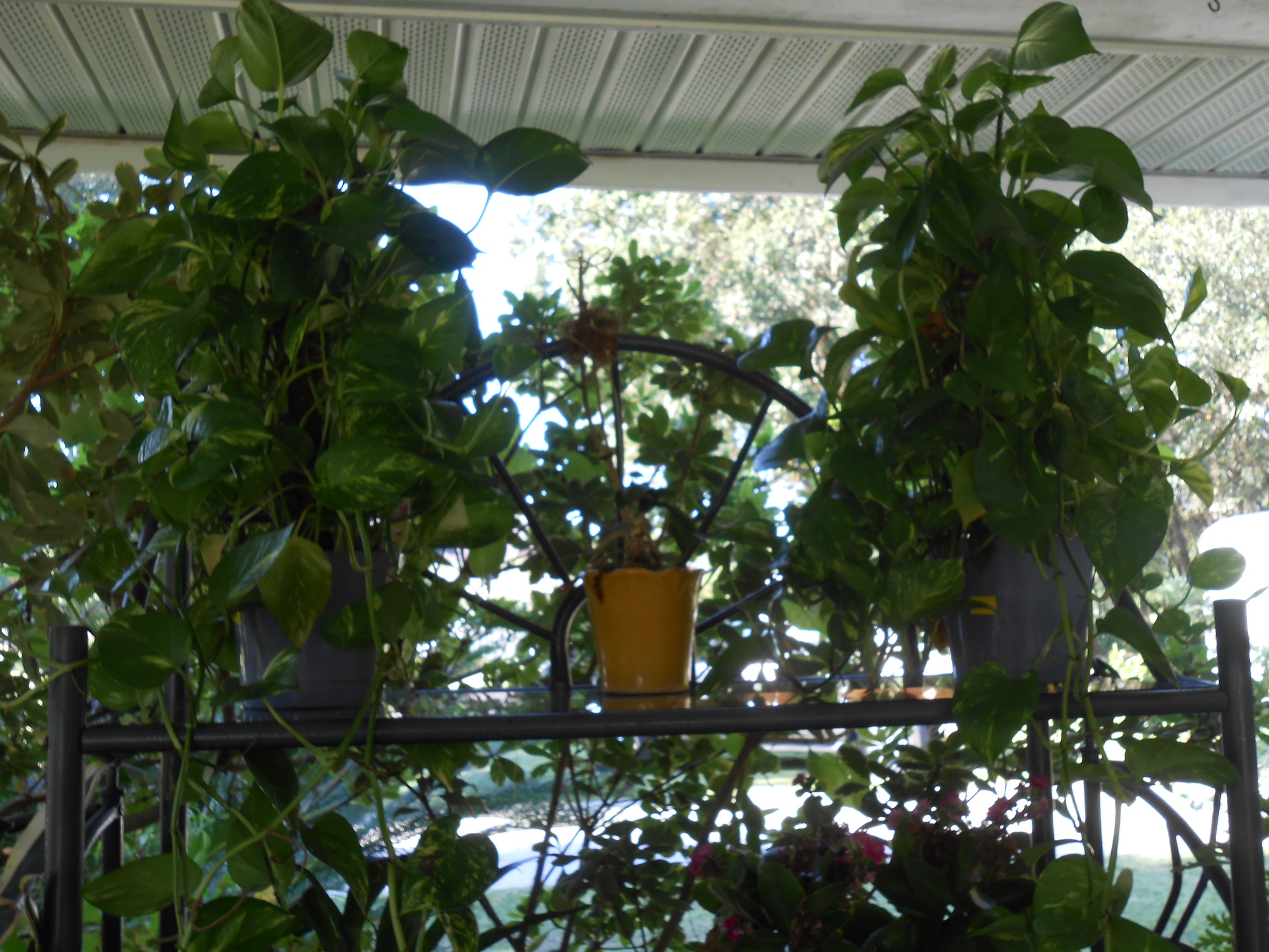 DSCN0551.jpg