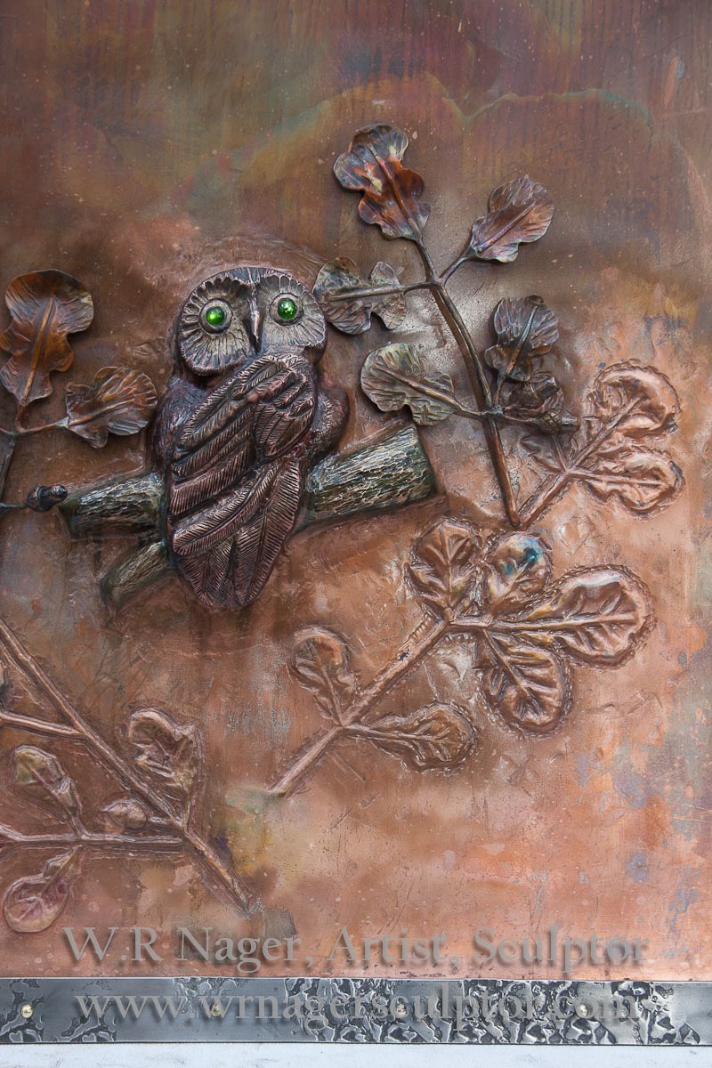 Hood owl10.jpg