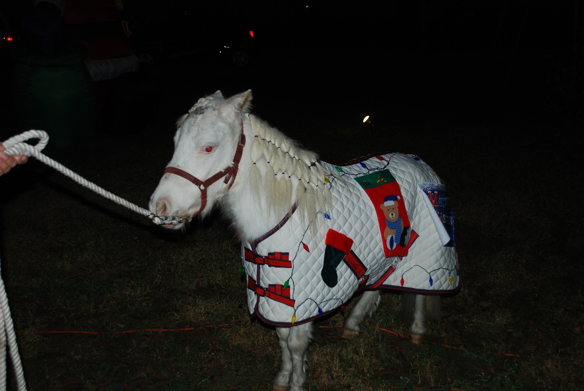 DSC_0902.jpg
