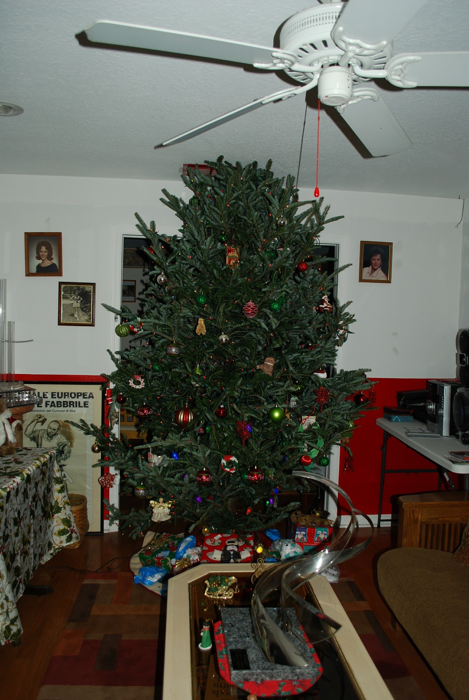 DSC_0918 (2).jpg