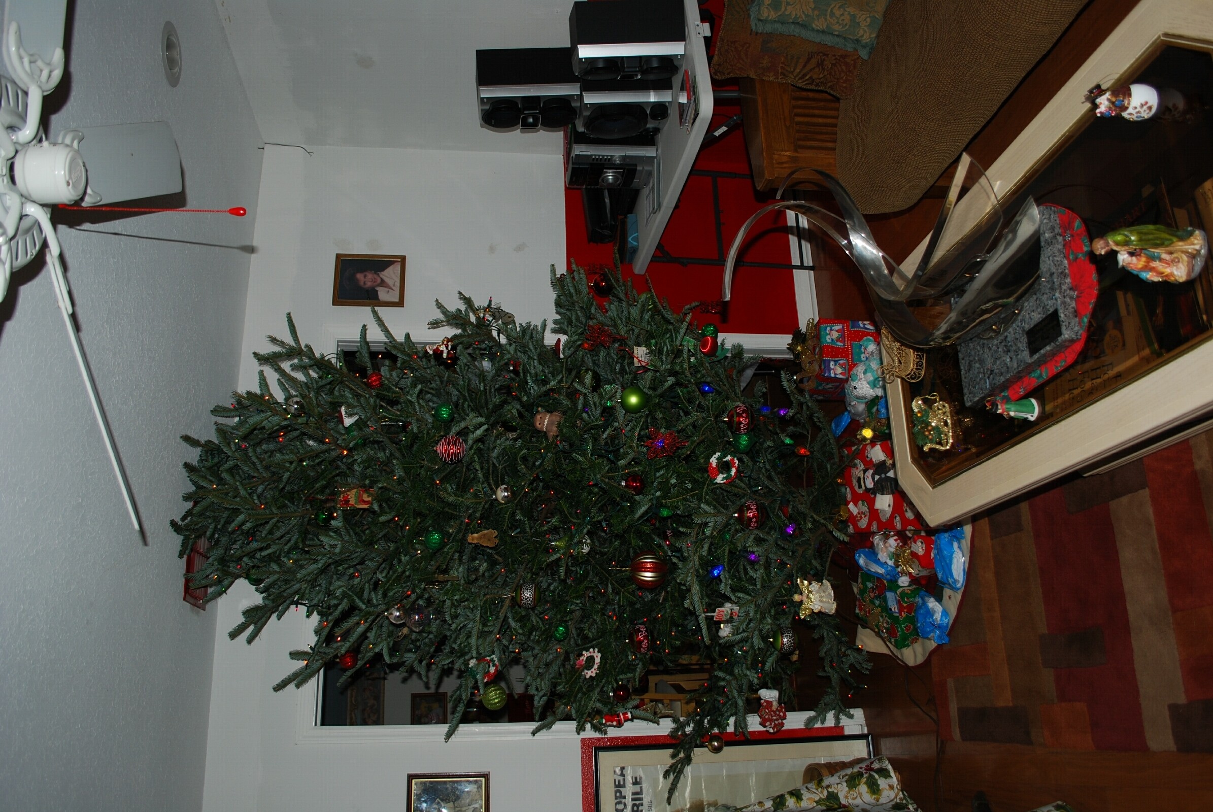 DSC_0919 (2).jpg