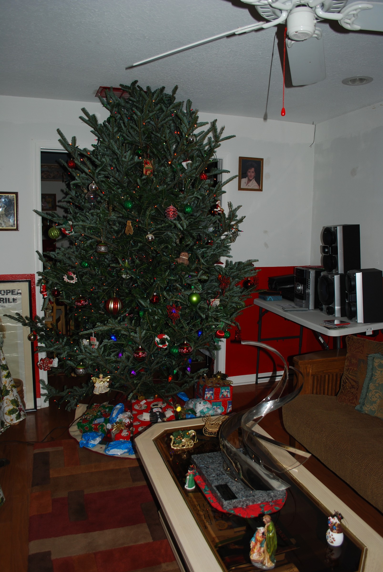 DSC_0919.jpg