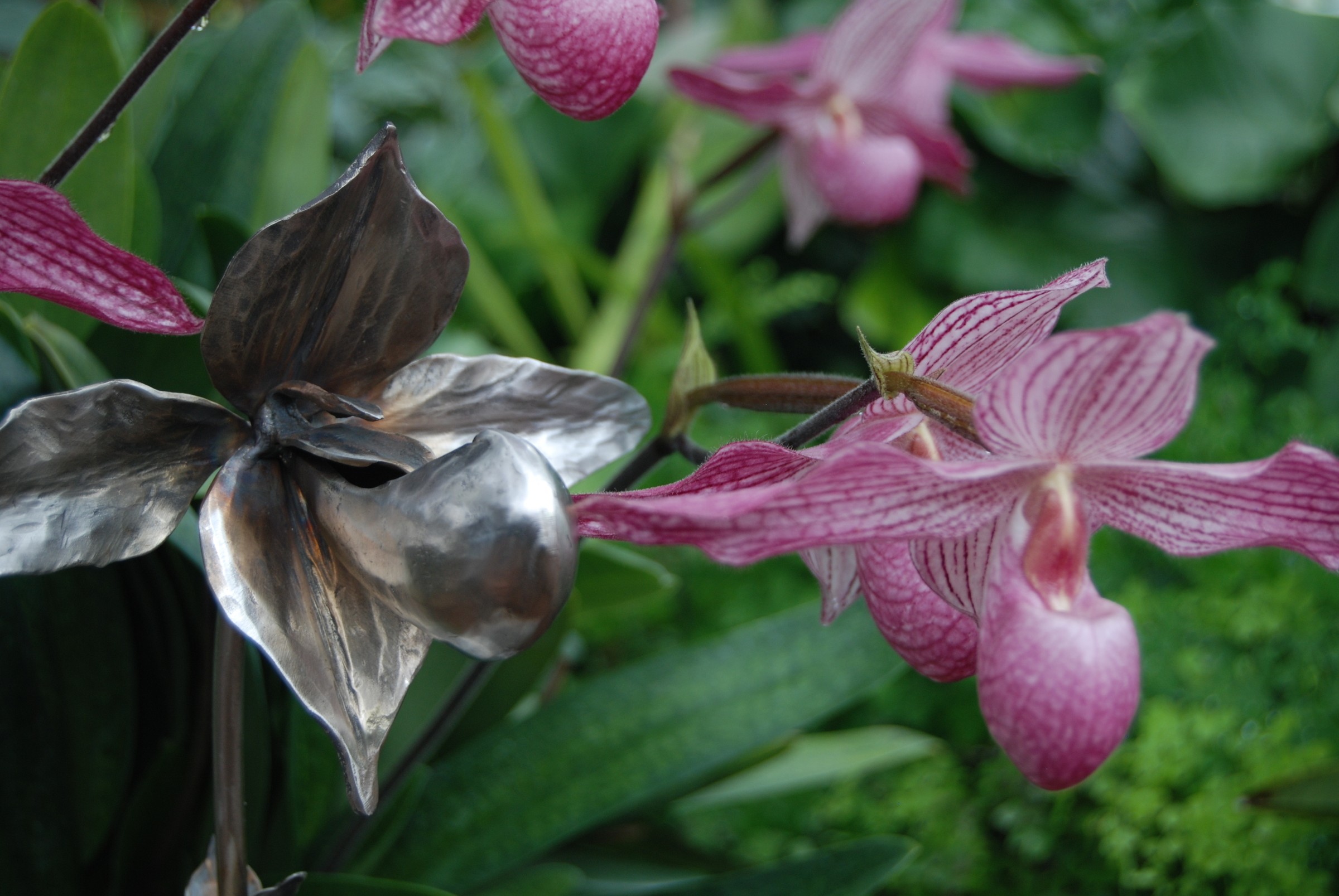 DSC_6472.JPG