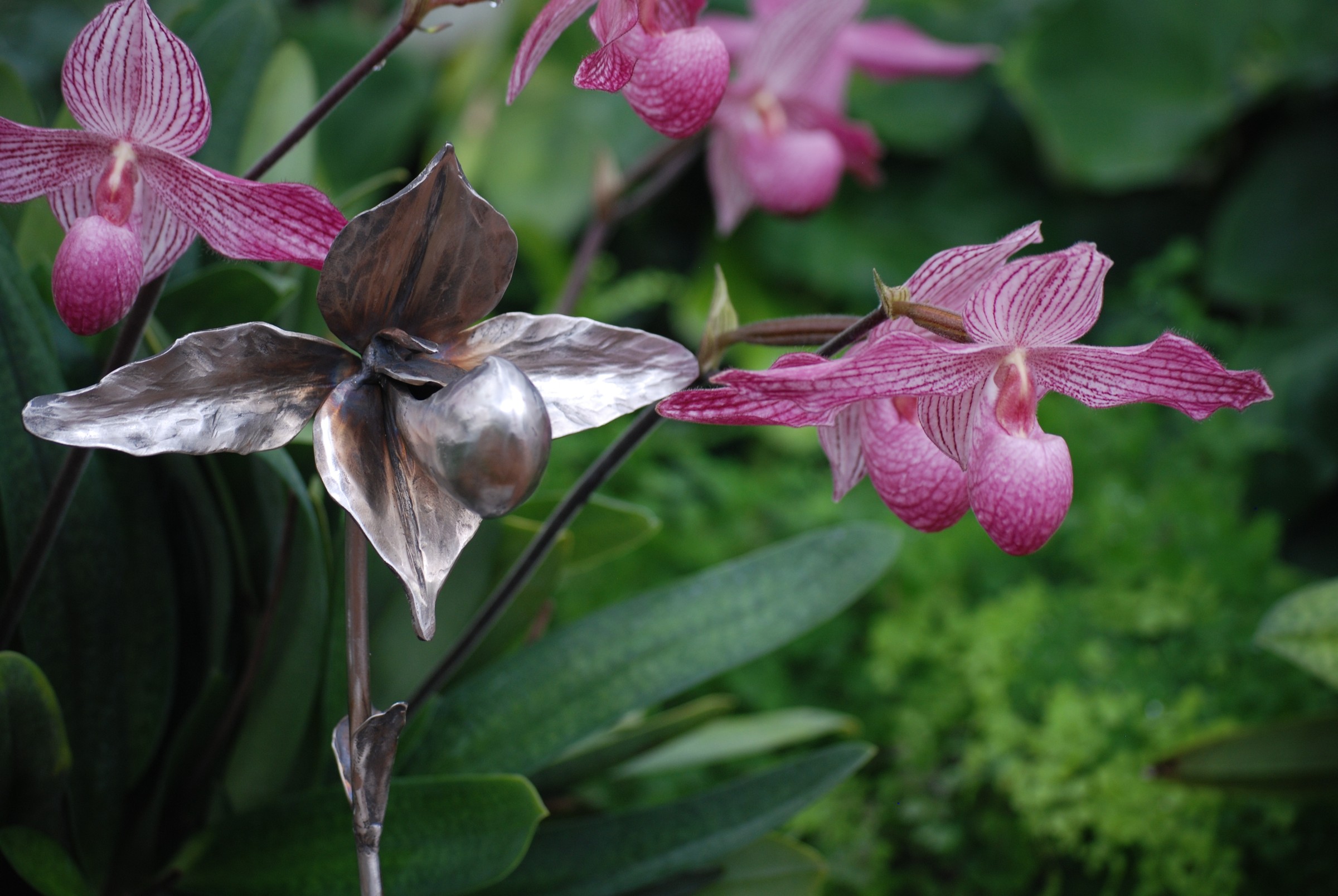 DSC_6497.JPG