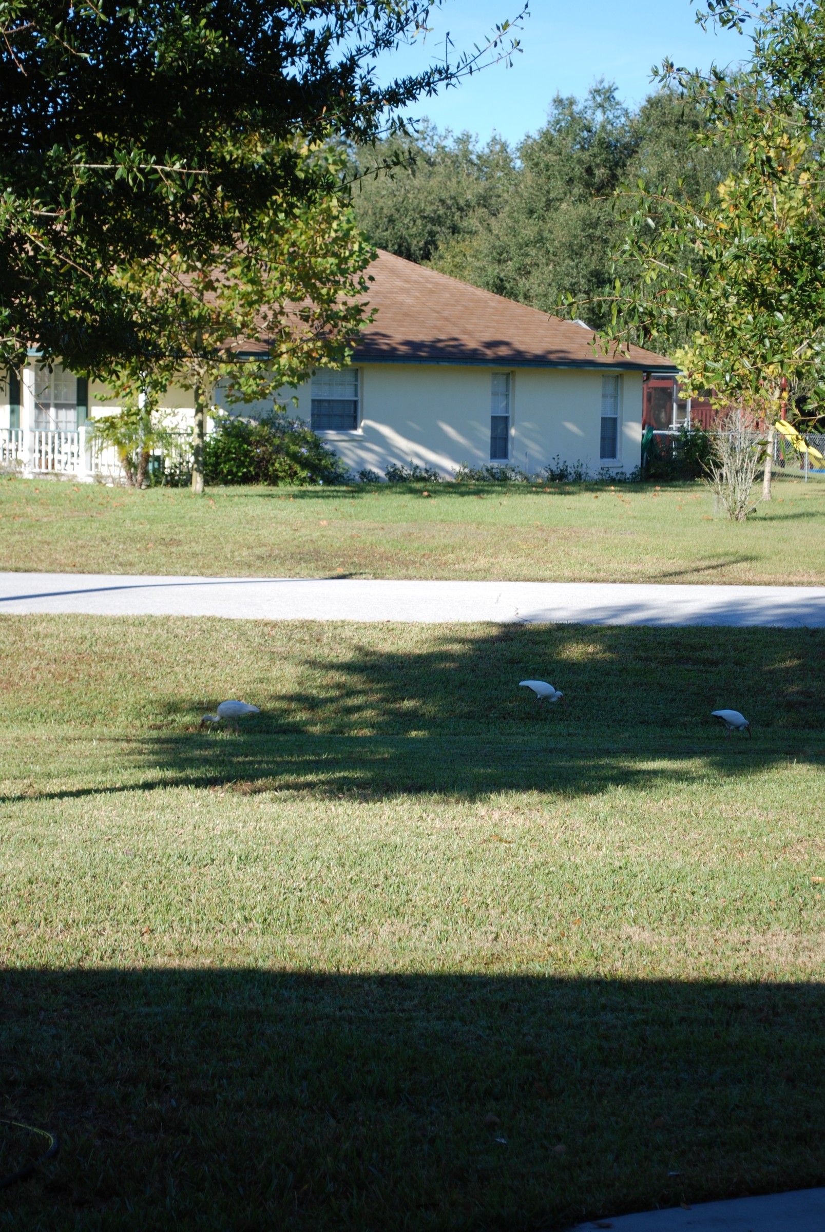 DSC_0070.JPG