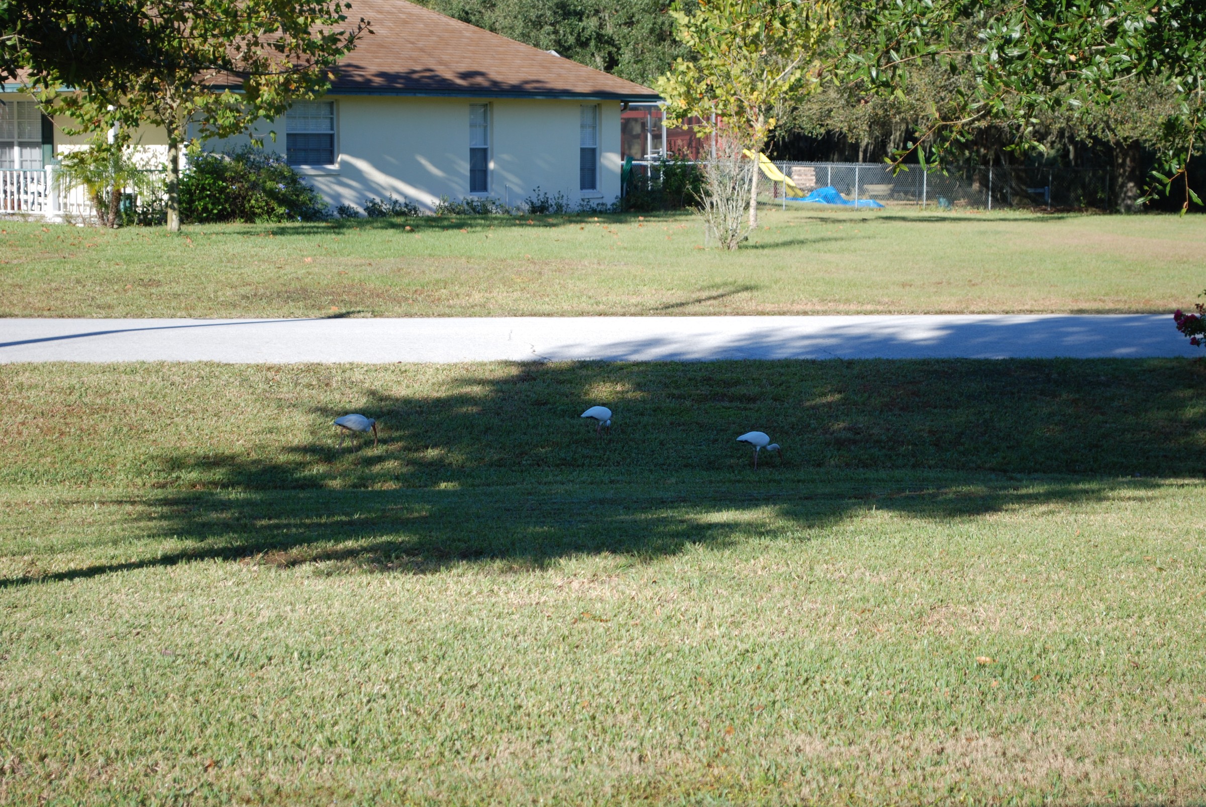 DSC_0071.JPG
