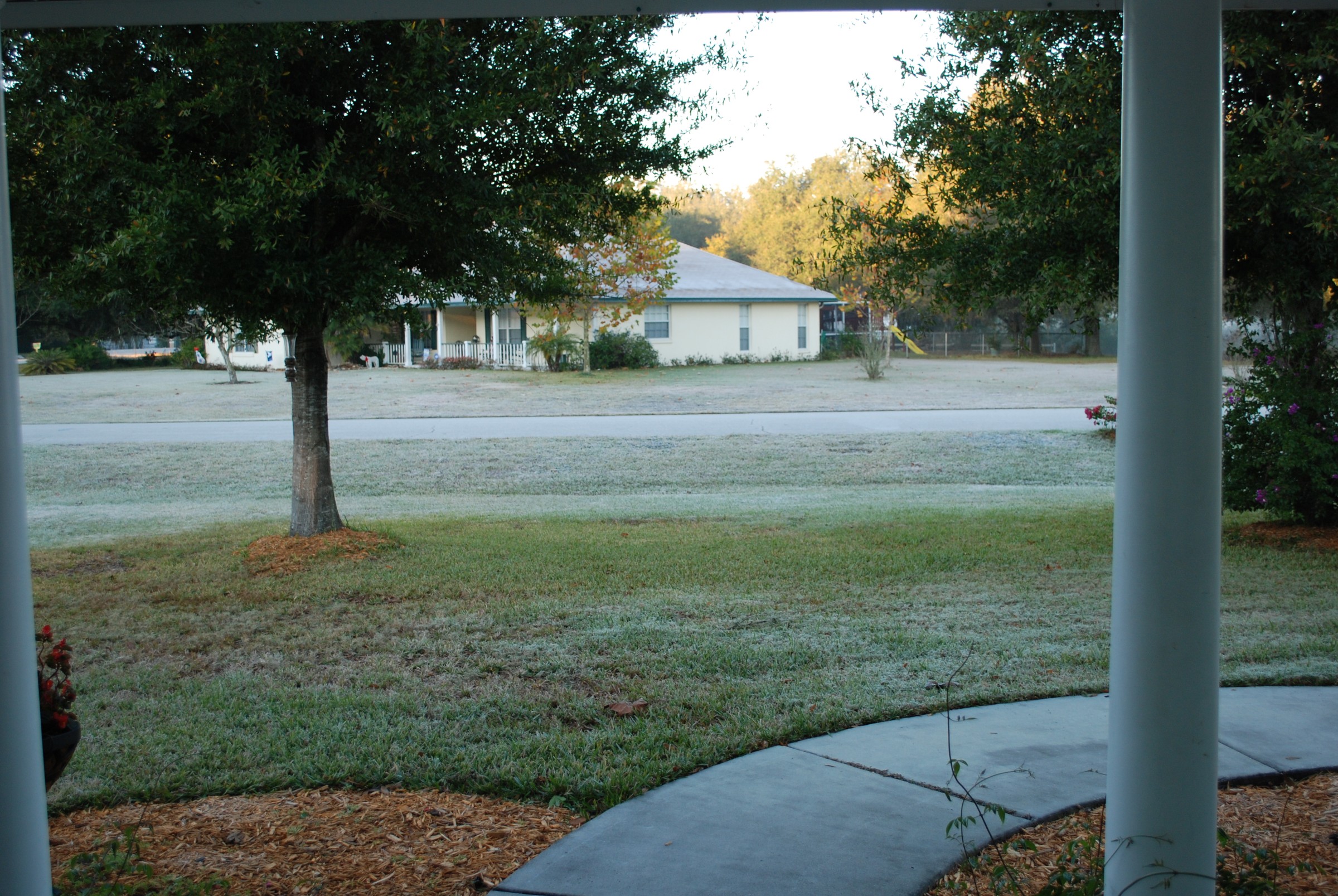 DSC_0107.JPG