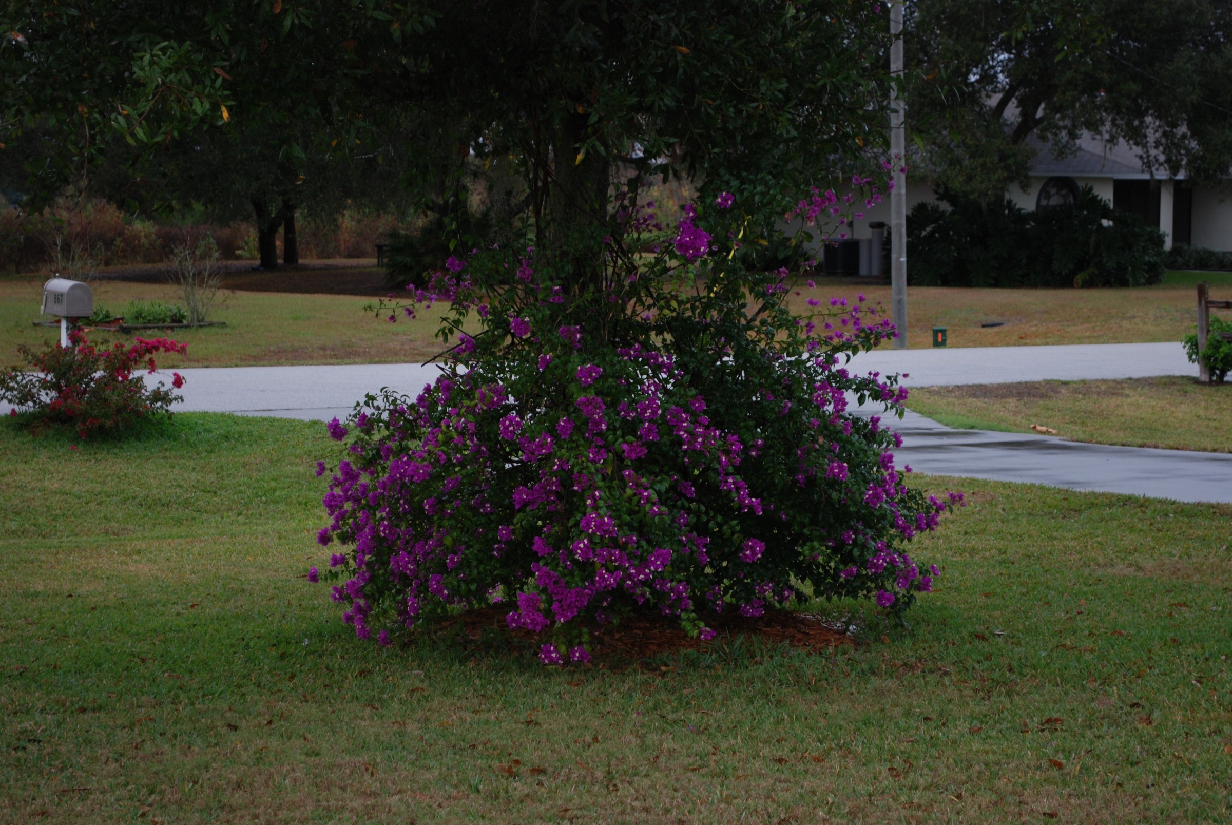 DSC_0170.JPG