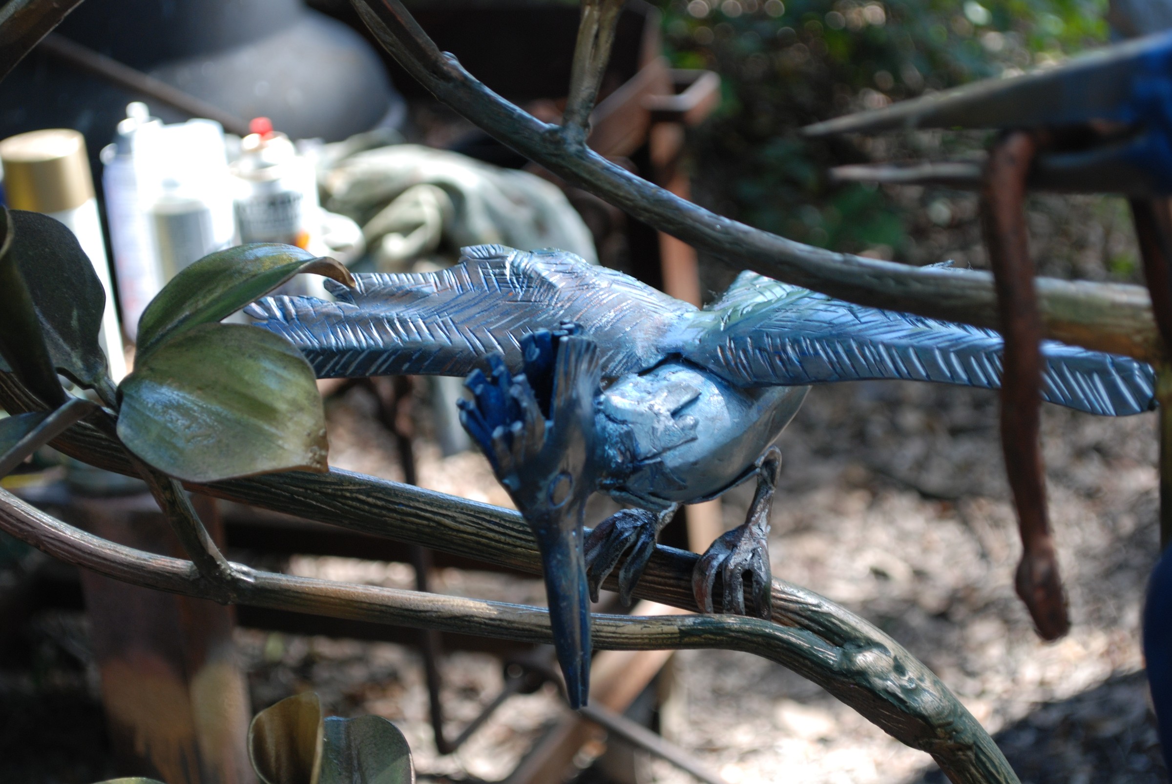 DSC_0495.JPG